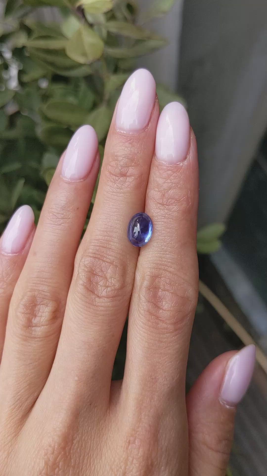 2.68 Ct. Blue Cabochon Sapphire from Ceylon (Sri Lanka) Size Video