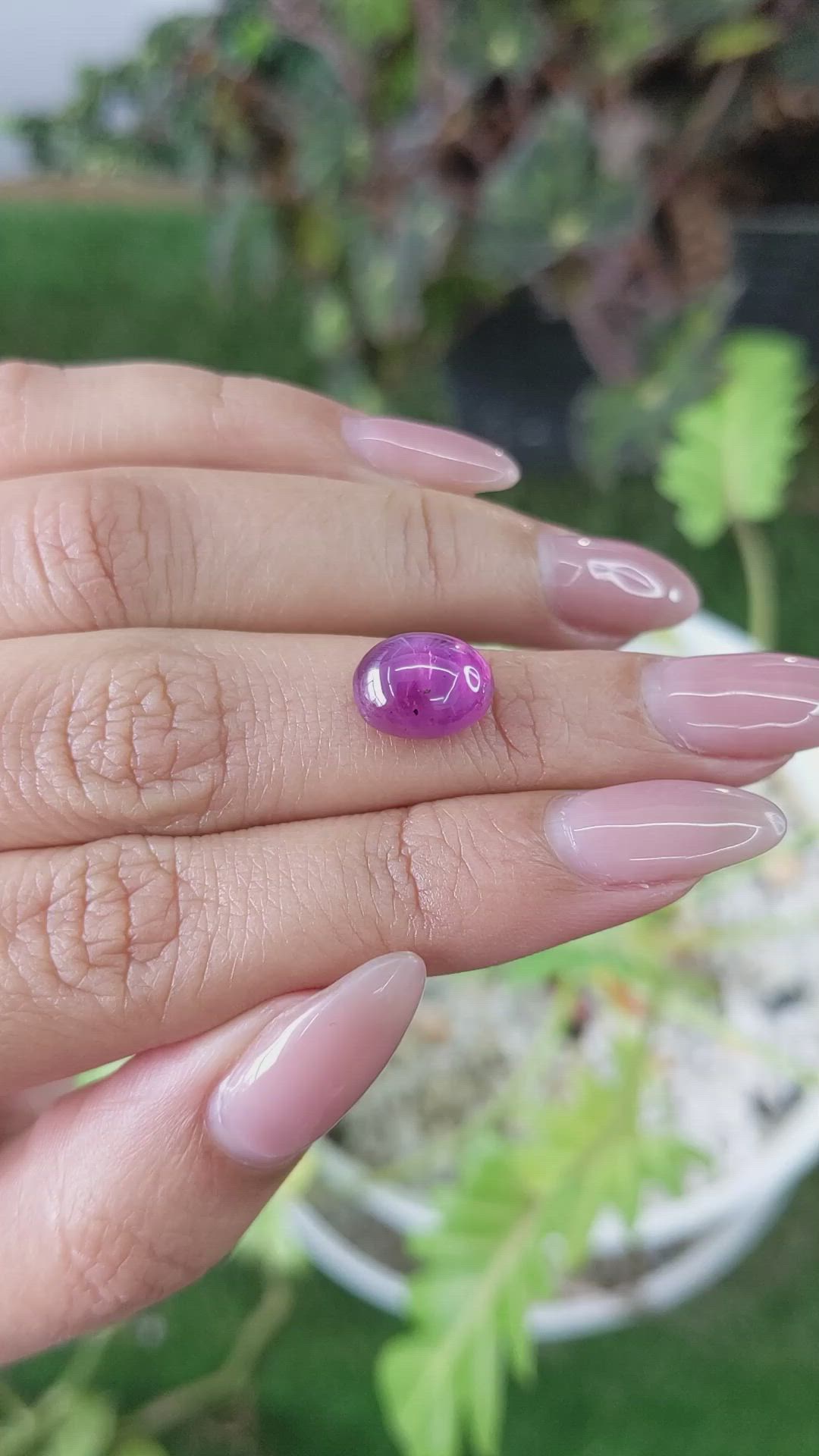 6.54 Ct. Pinkish Purple Star Sapphire from Ceylon (Sri Lanka) Size Video