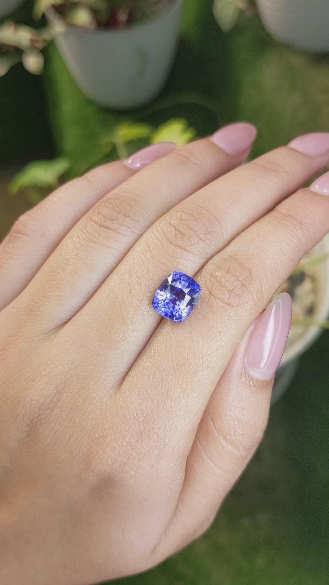 5.15 Ct. Violet Sapphire from Ceylon (Sri Lanka) Size Video