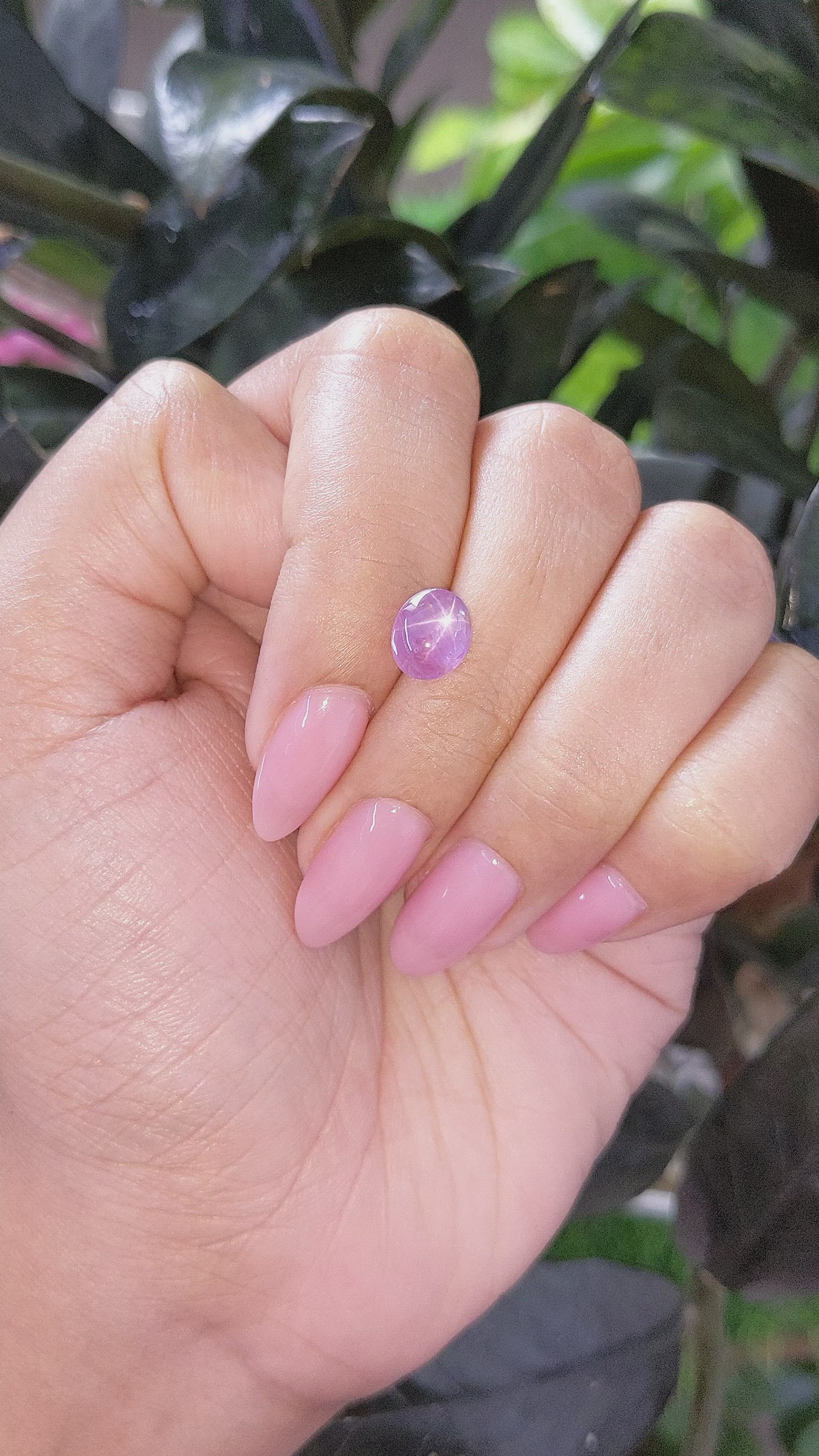 2.51 Ct. Pinkish Purple Star Sapphire from Tanzania Size Video