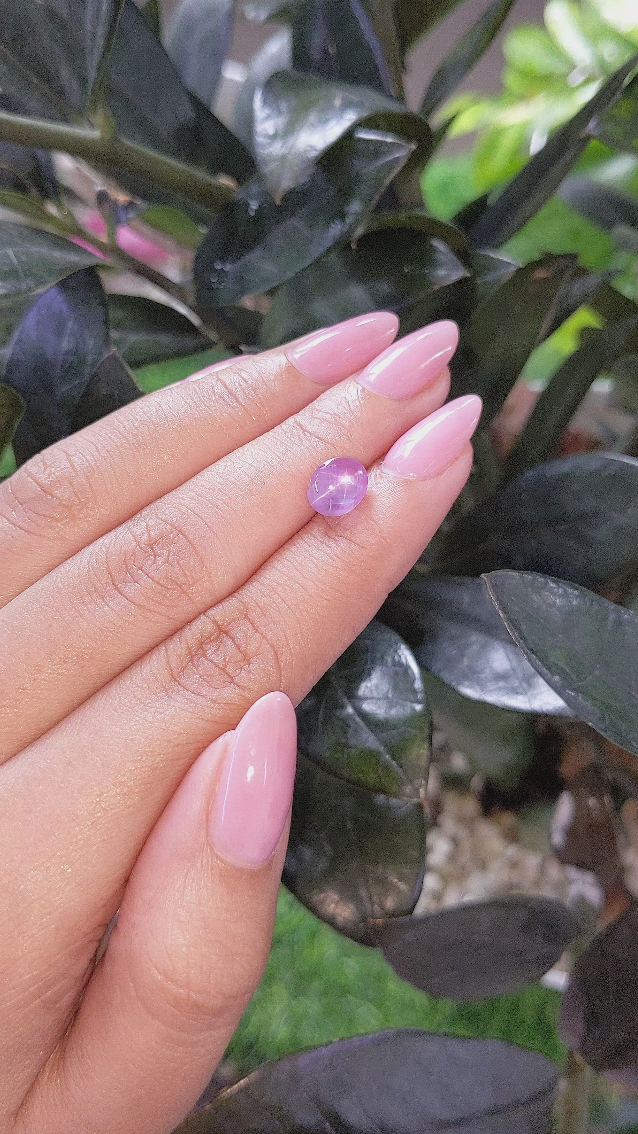 2.51 Ct. Pinkish Purple Star Sapphire from Tanzania Size Video