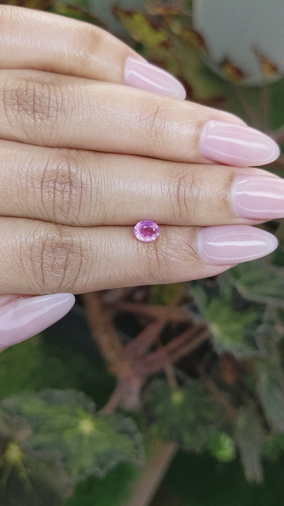 0.63 Ct. Pink Sapphire from Ceylon (Sri Lanka) Size Video