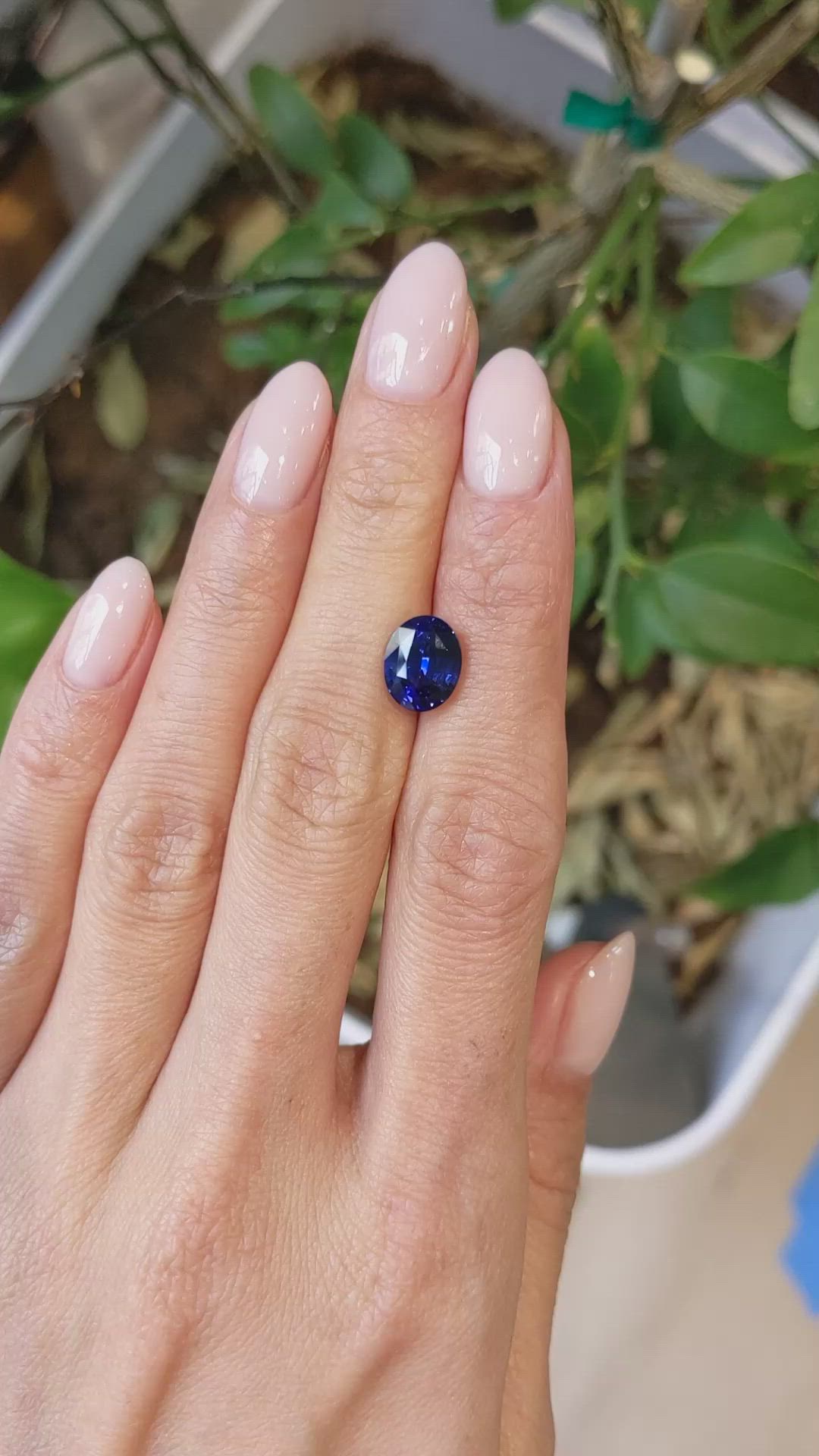 3.52 Ct. Blue Sapphire from Ceylon (Sri Lanka) Size Video