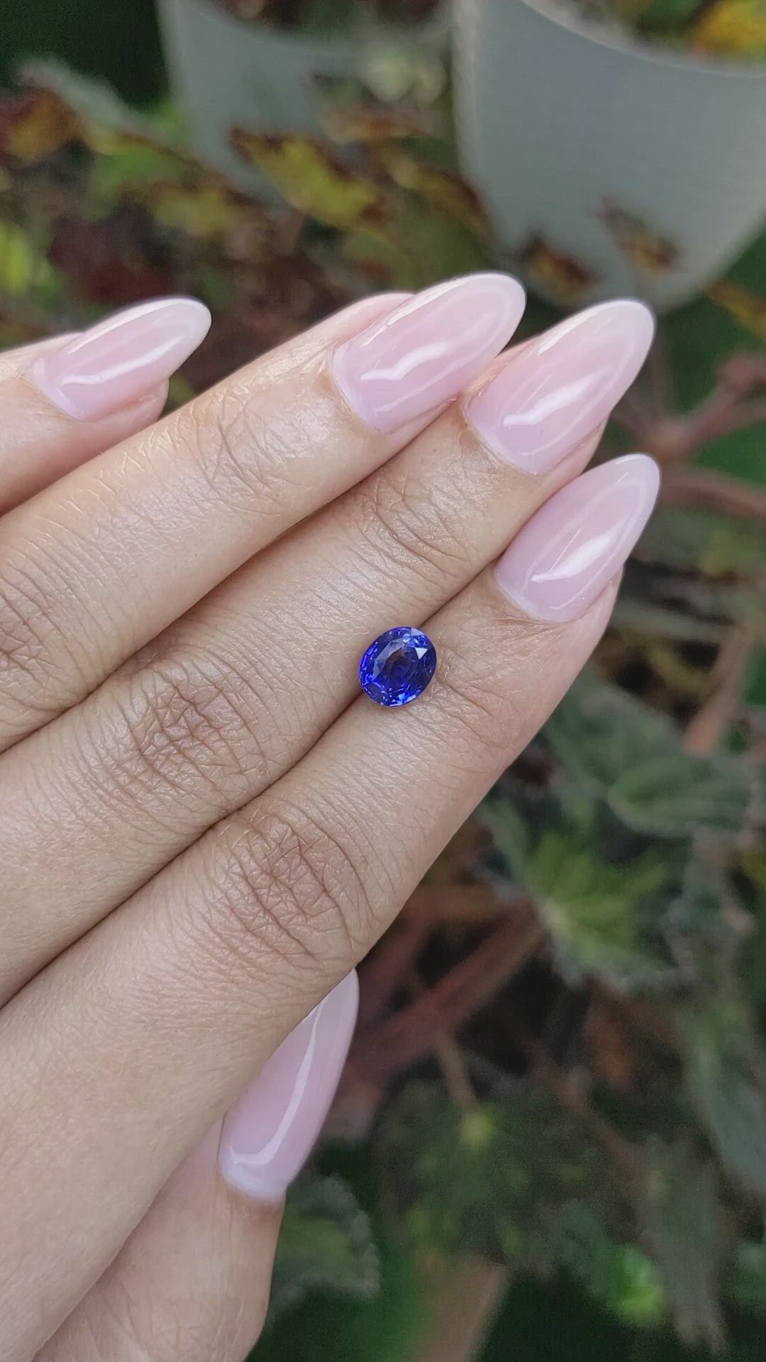 1.78 Ct. Blue Sapphire from Ceylon (Sri Lanka) Size Video