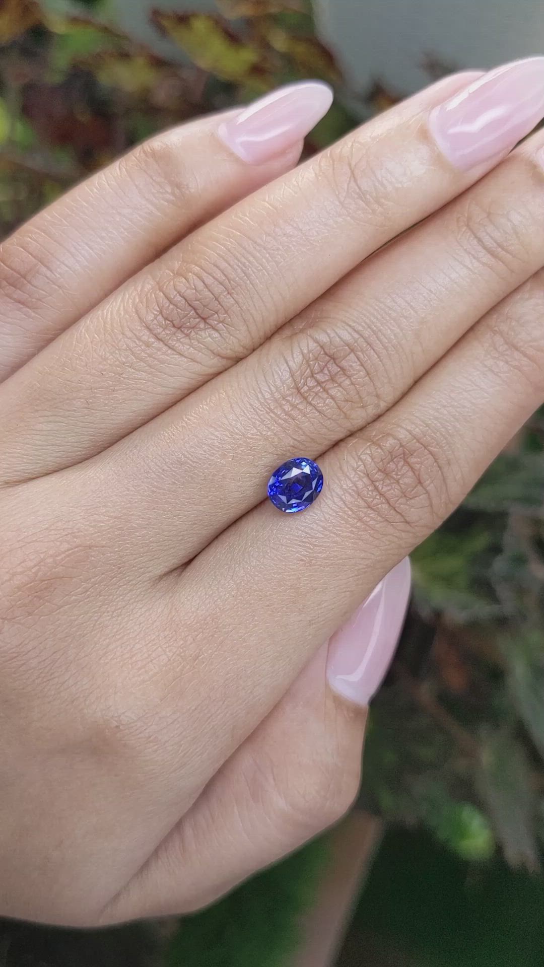 1.78 Ct. Blue Sapphire from Ceylon (Sri Lanka) Size Video