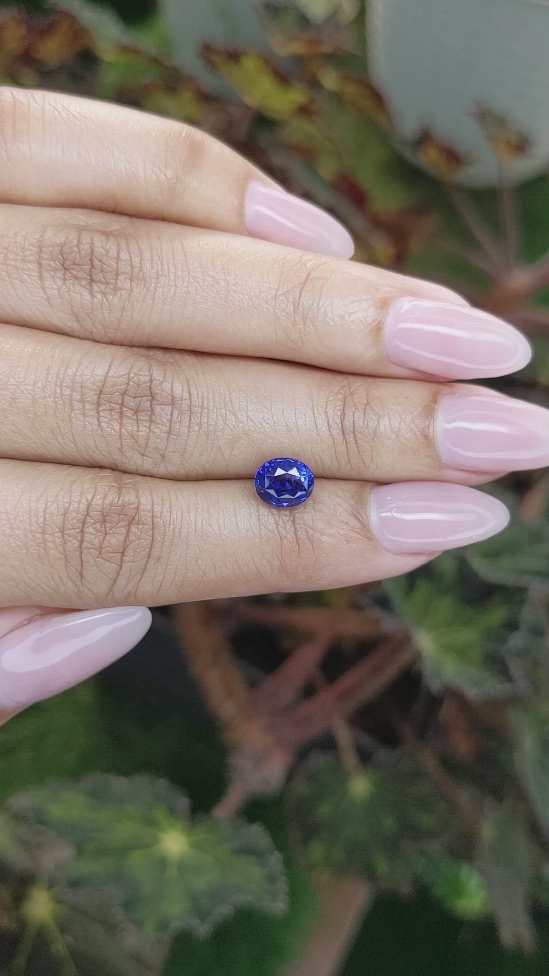 1.78 Ct. Blue Sapphire from Ceylon (Sri Lanka) Size Video