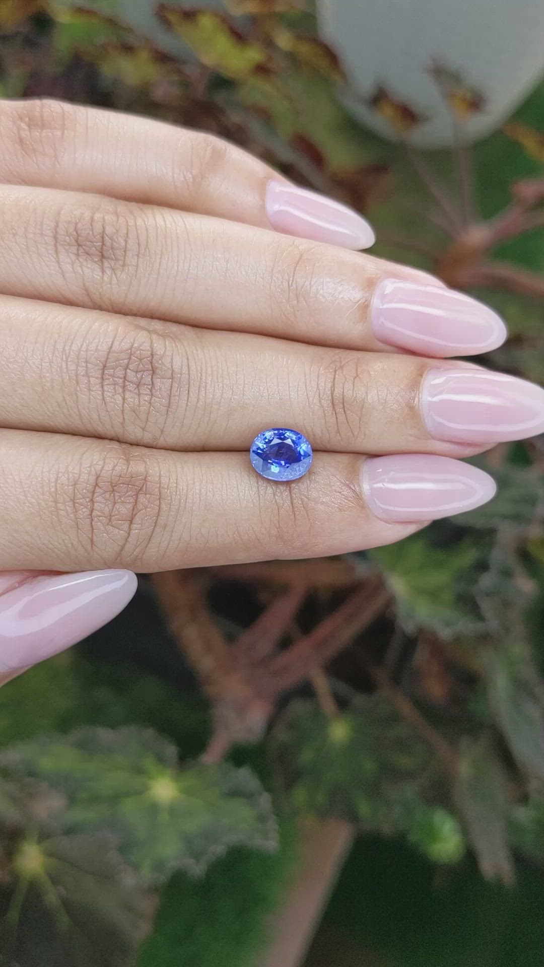 2.00 Ct. Blue Sapphire from Ceylon (Sri Lanka) Size Video