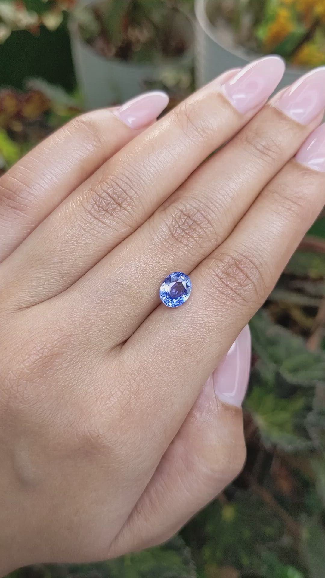 1.76 Ct. Blue Sapphire from Ceylon (Sri Lanka) Size Video