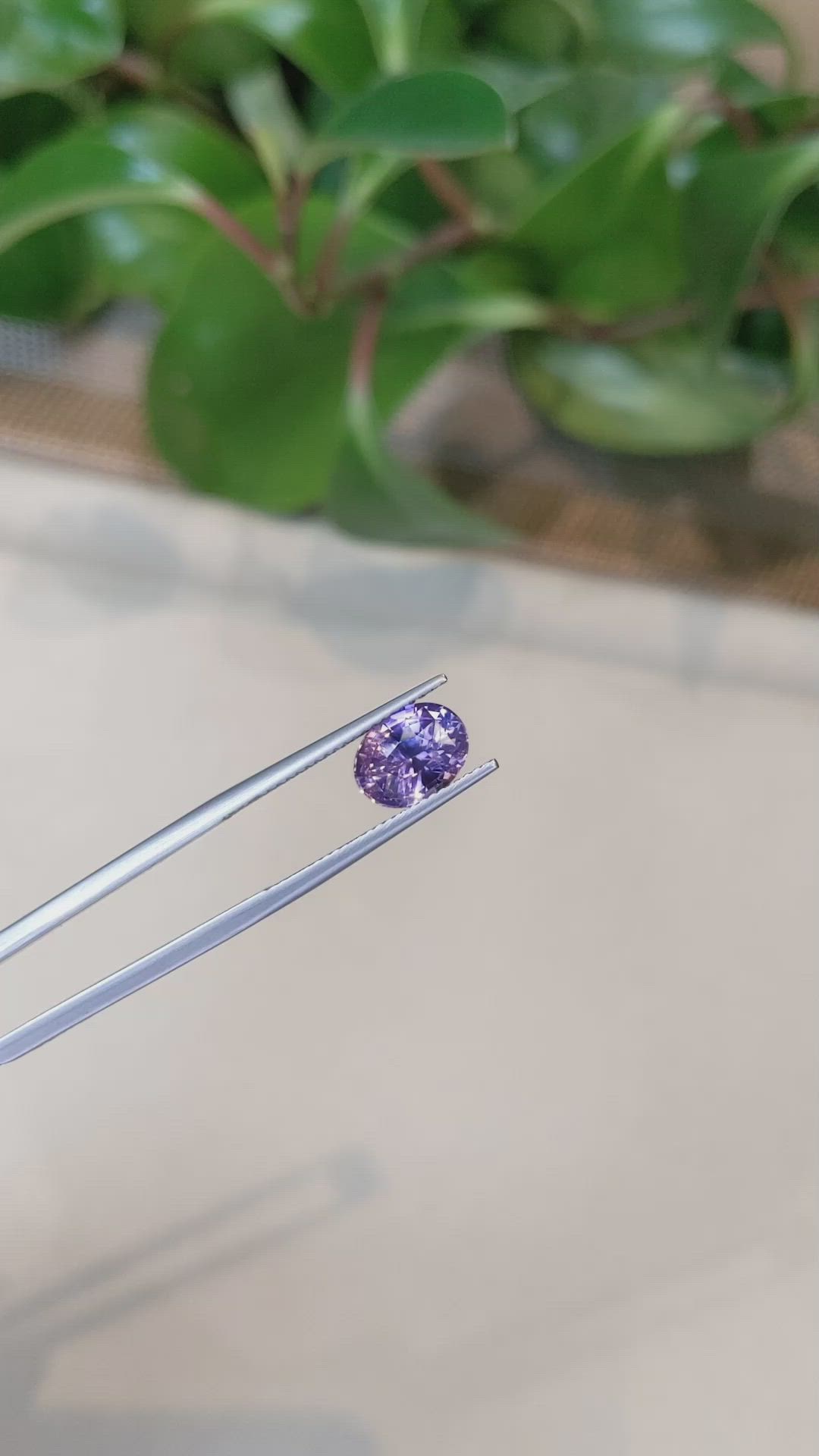 3.10 Ct. Bi Color Sapphire from Ceylon (Sri Lanka) Size Video