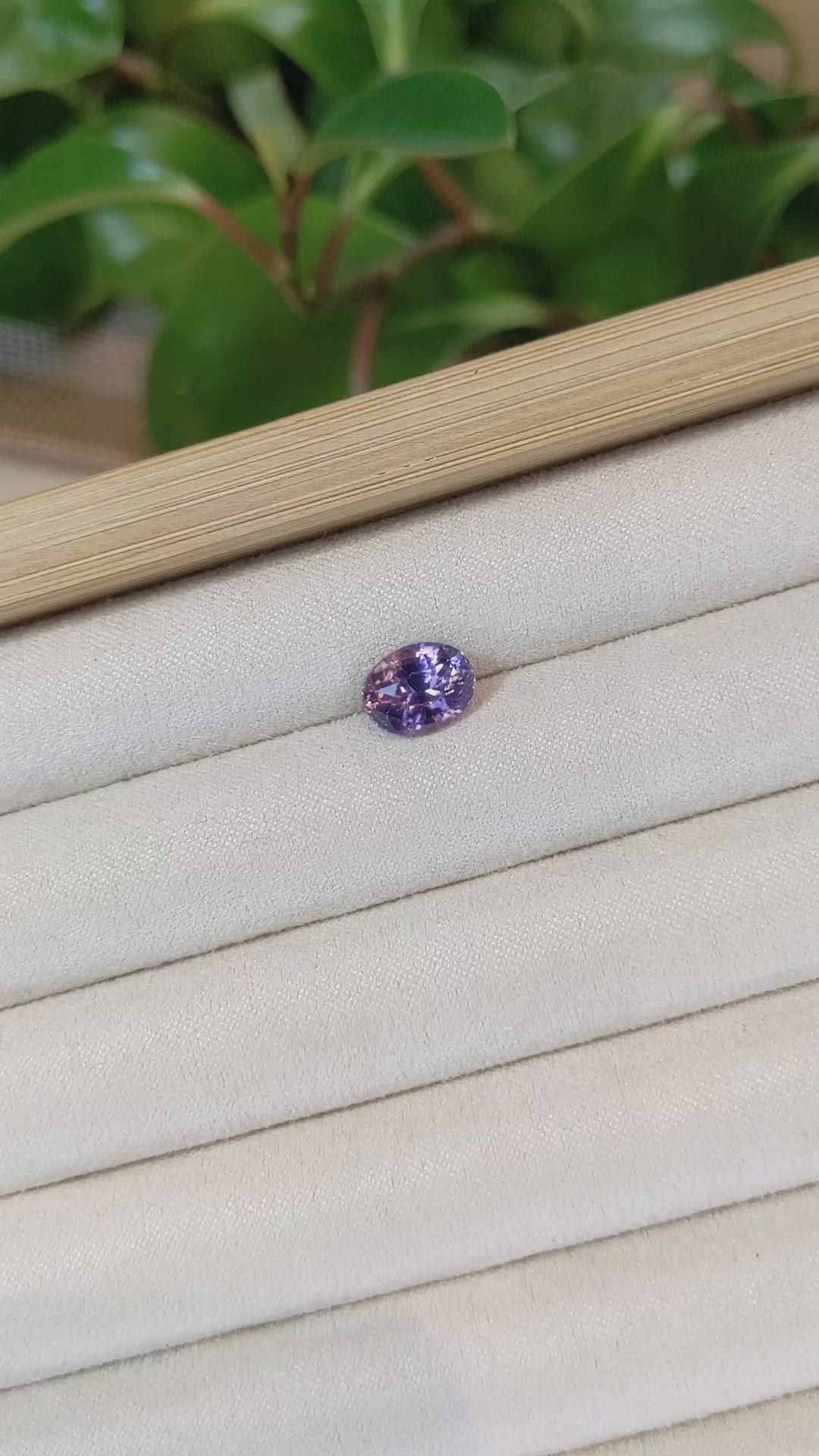 3.10 Ct. Bi Color Sapphire from Ceylon (Sri Lanka) Size Video