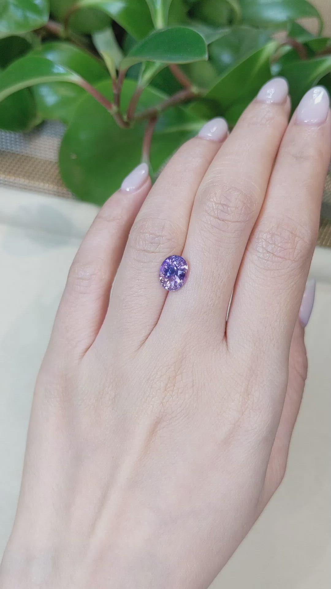 3.10 Ct. Bi Color Sapphire from Ceylon (Sri Lanka) Size Video