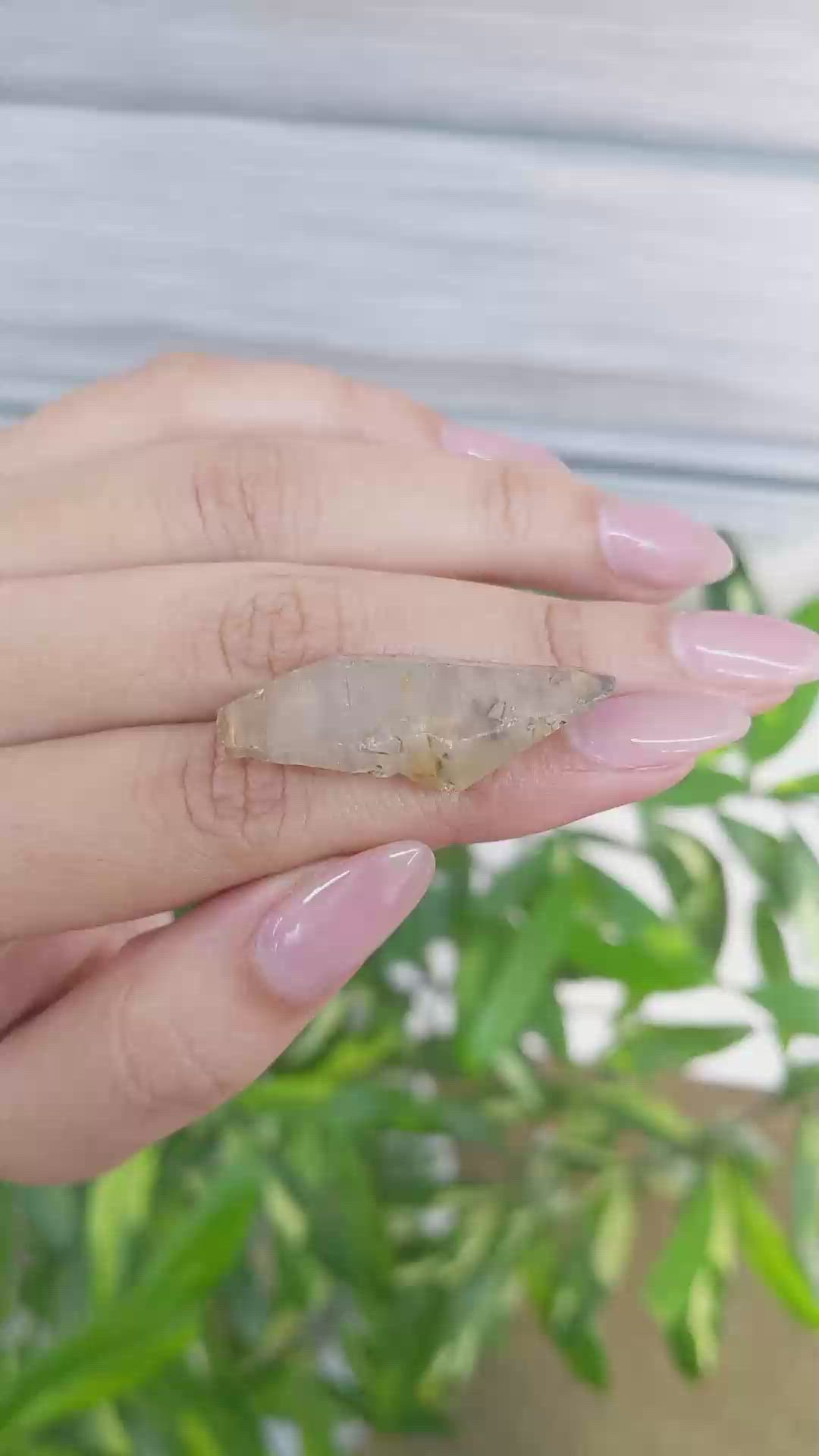 53.64 Ct. Yellow Sapphire Crystal from Ceylon (Sri Lanka) Size Video