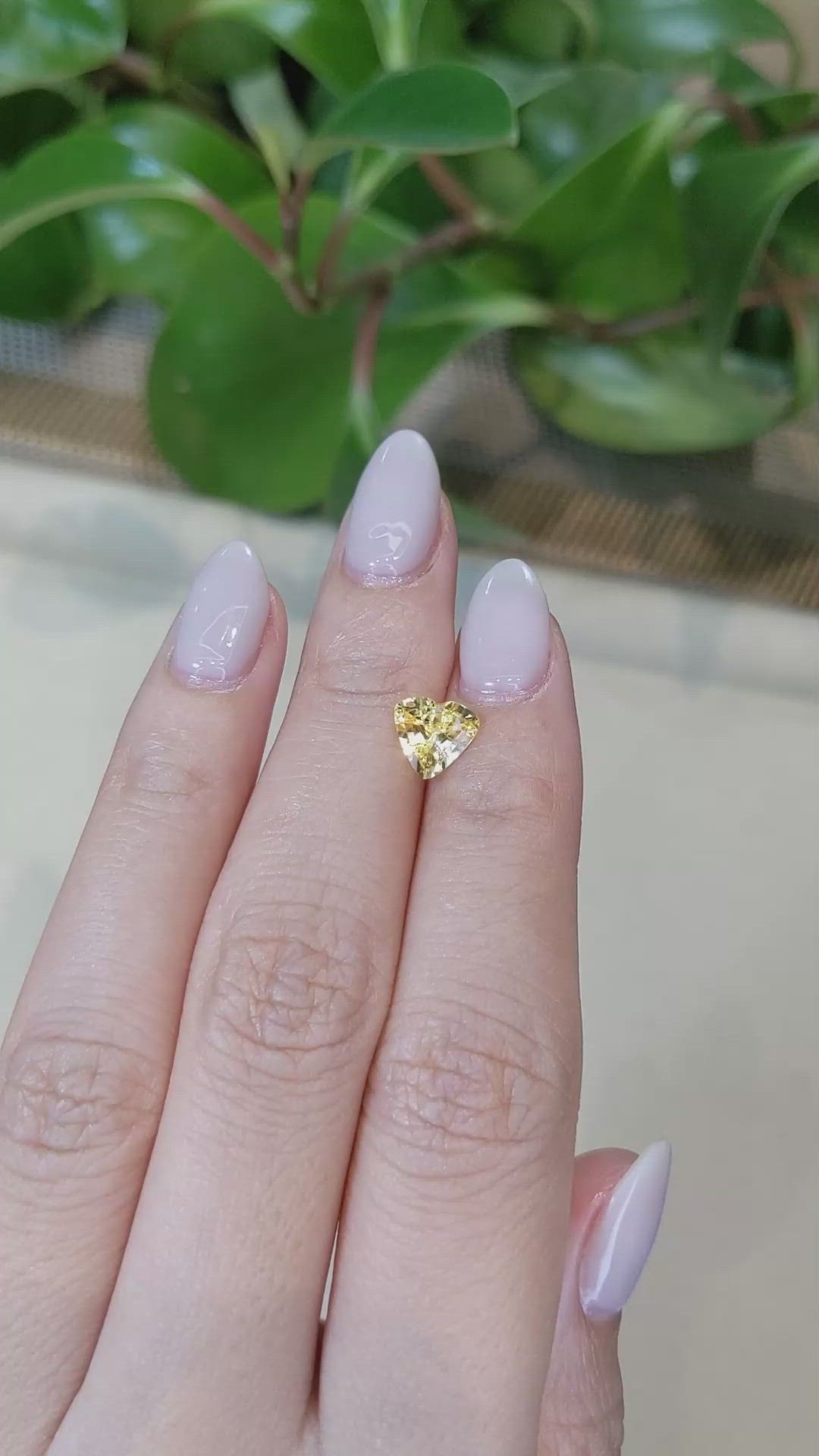 1.36 Ct. Yellow Sapphire from Ceylon (Sri Lanka) Size Video