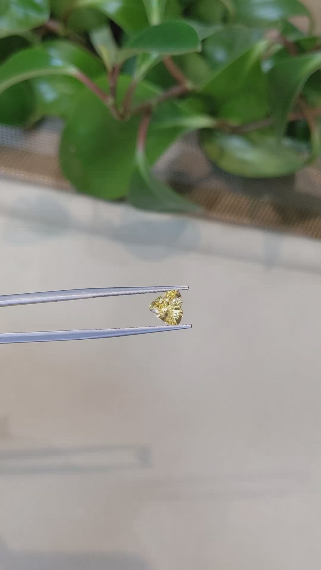 1.36 Ct. Yellow Sapphire from Ceylon (Sri Lanka) Size Video