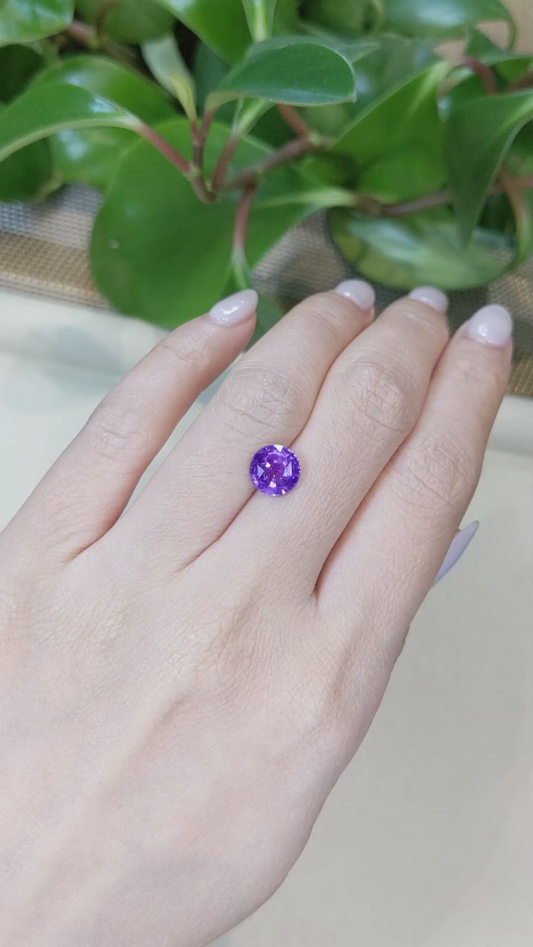 2.54 Ct. Purple Sapphire from Ceylon (Sri Lanka) Size Video