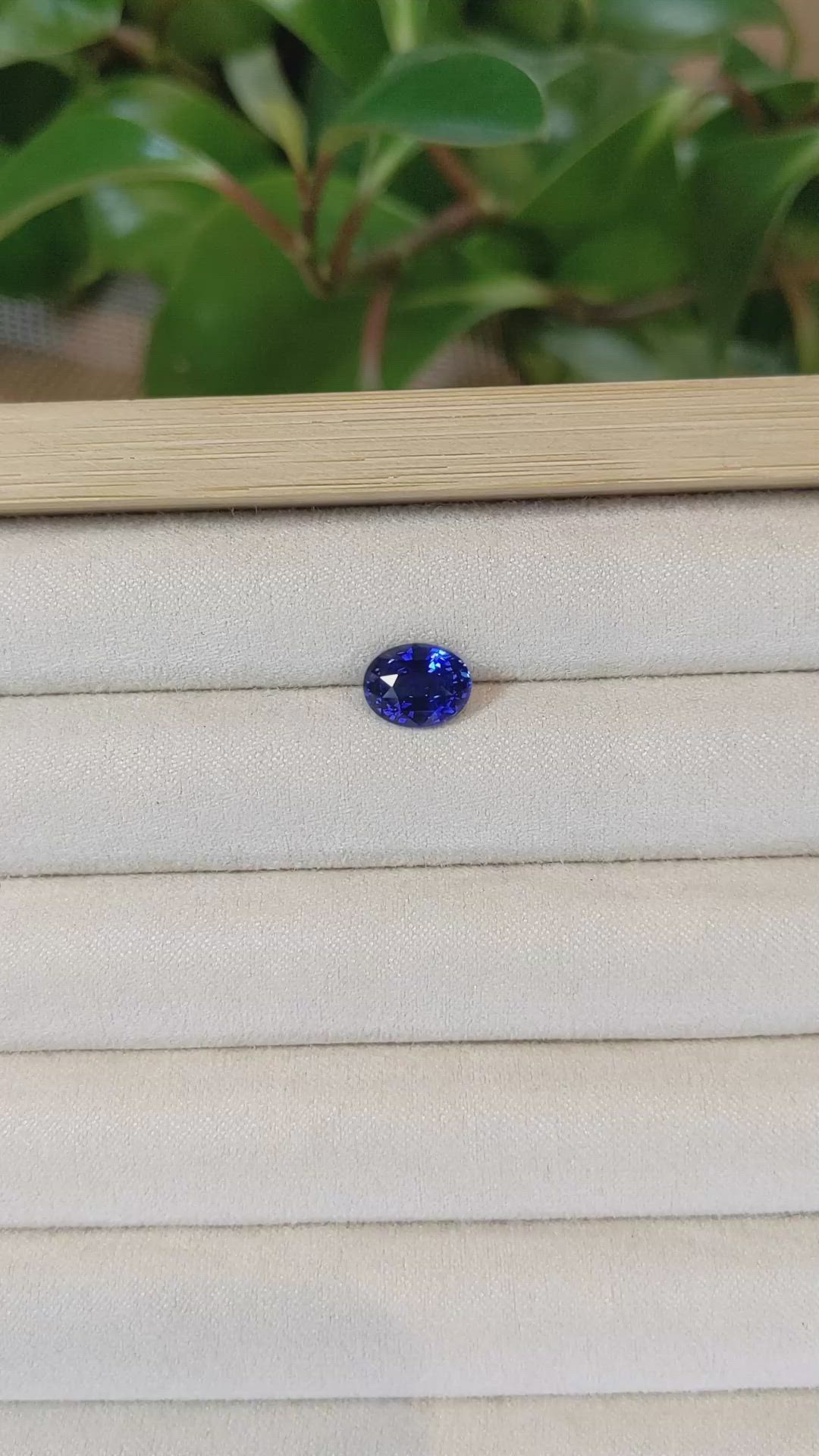 2.55 Ct. Blue Sapphire from Ceylon (Sri Lanka) Size Video