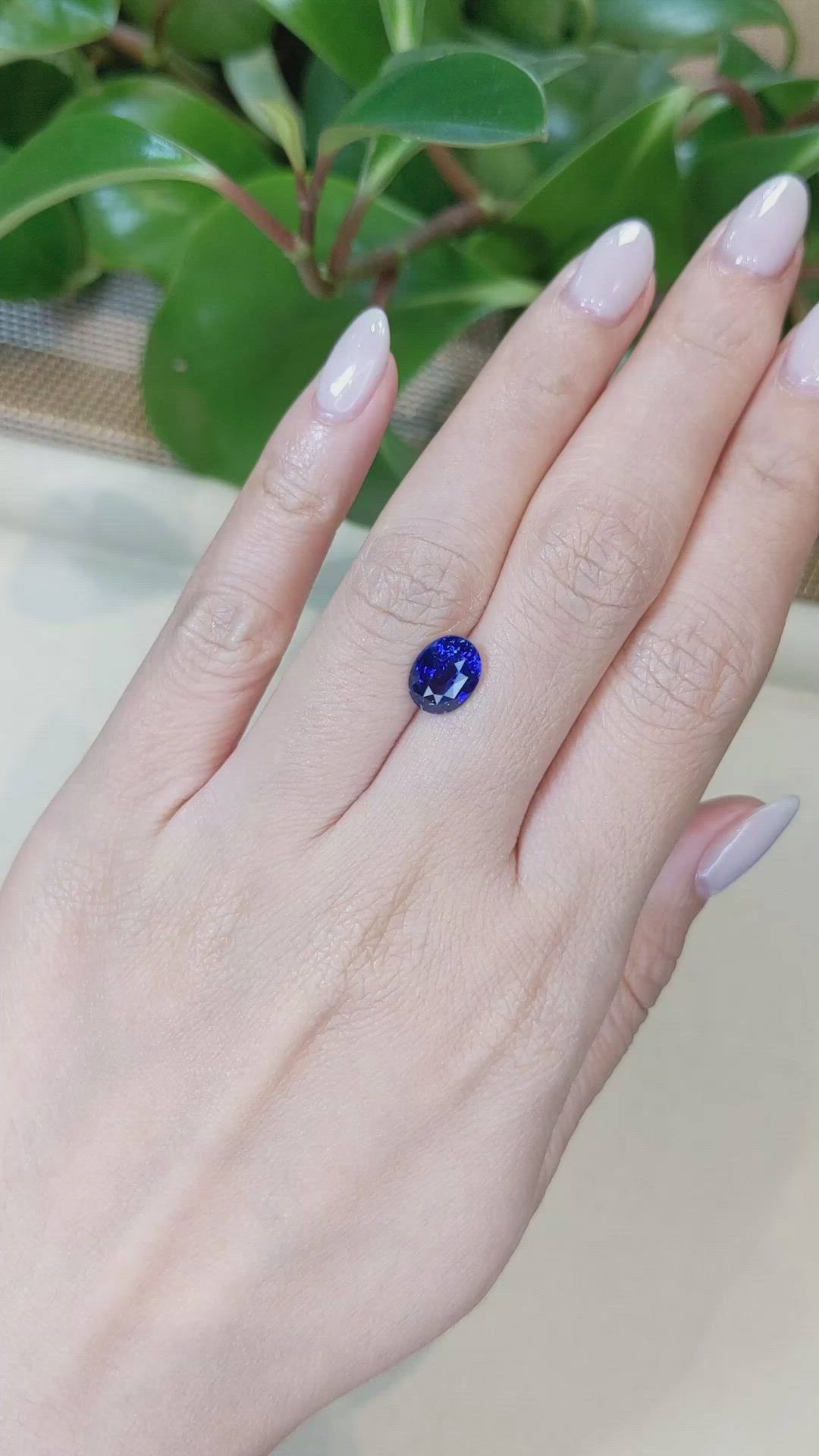 2.55 Ct. Blue Sapphire from Ceylon (Sri Lanka) Size Video