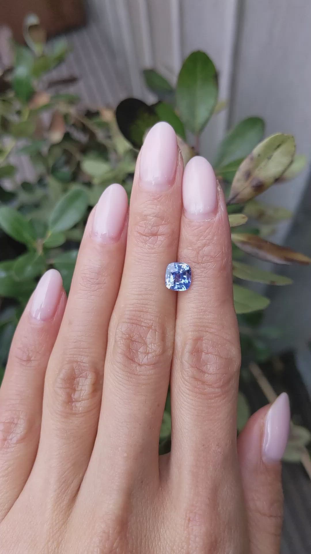 1.65 Ct. Blue Sapphire from Ceylon (Sri Lanka) Size Video