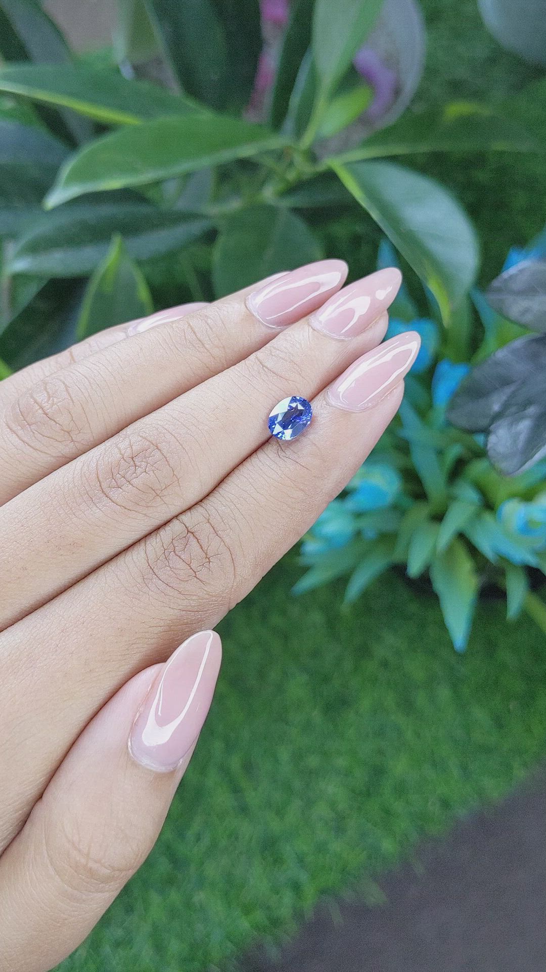 1.53 Ct. Blue Sapphire from Ceylon (Sri Lanka) Size Video