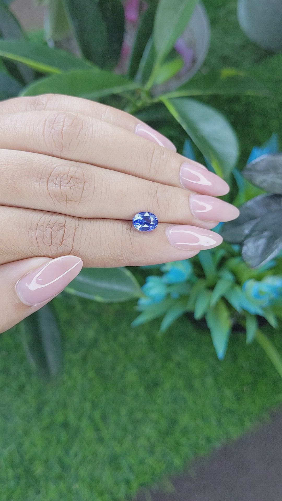 1.53 Ct. Blue Sapphire from Ceylon (Sri Lanka) Size Video