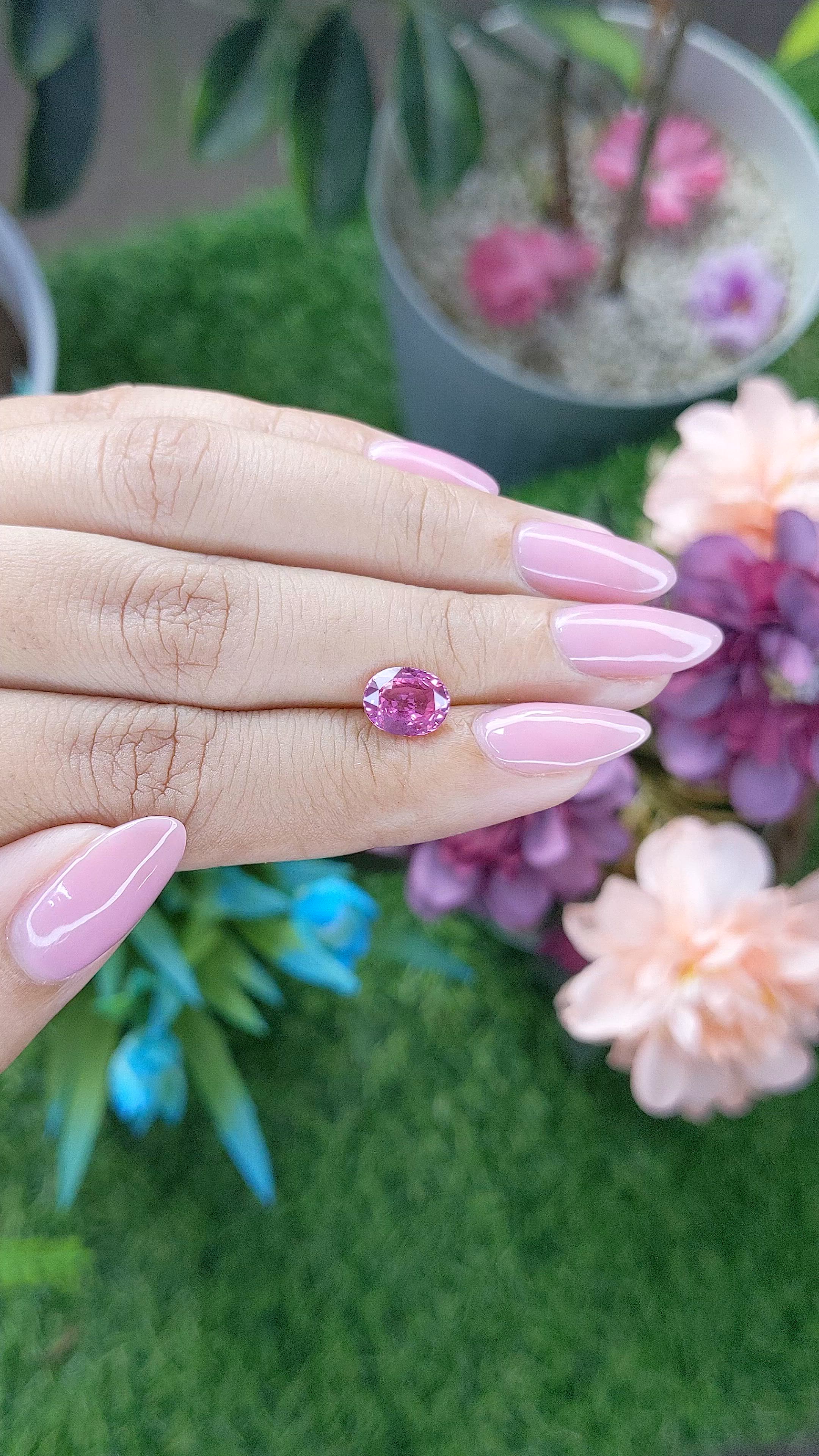 2.02 Ct. Purplish Pink Sapphire from Madagascar Size Video