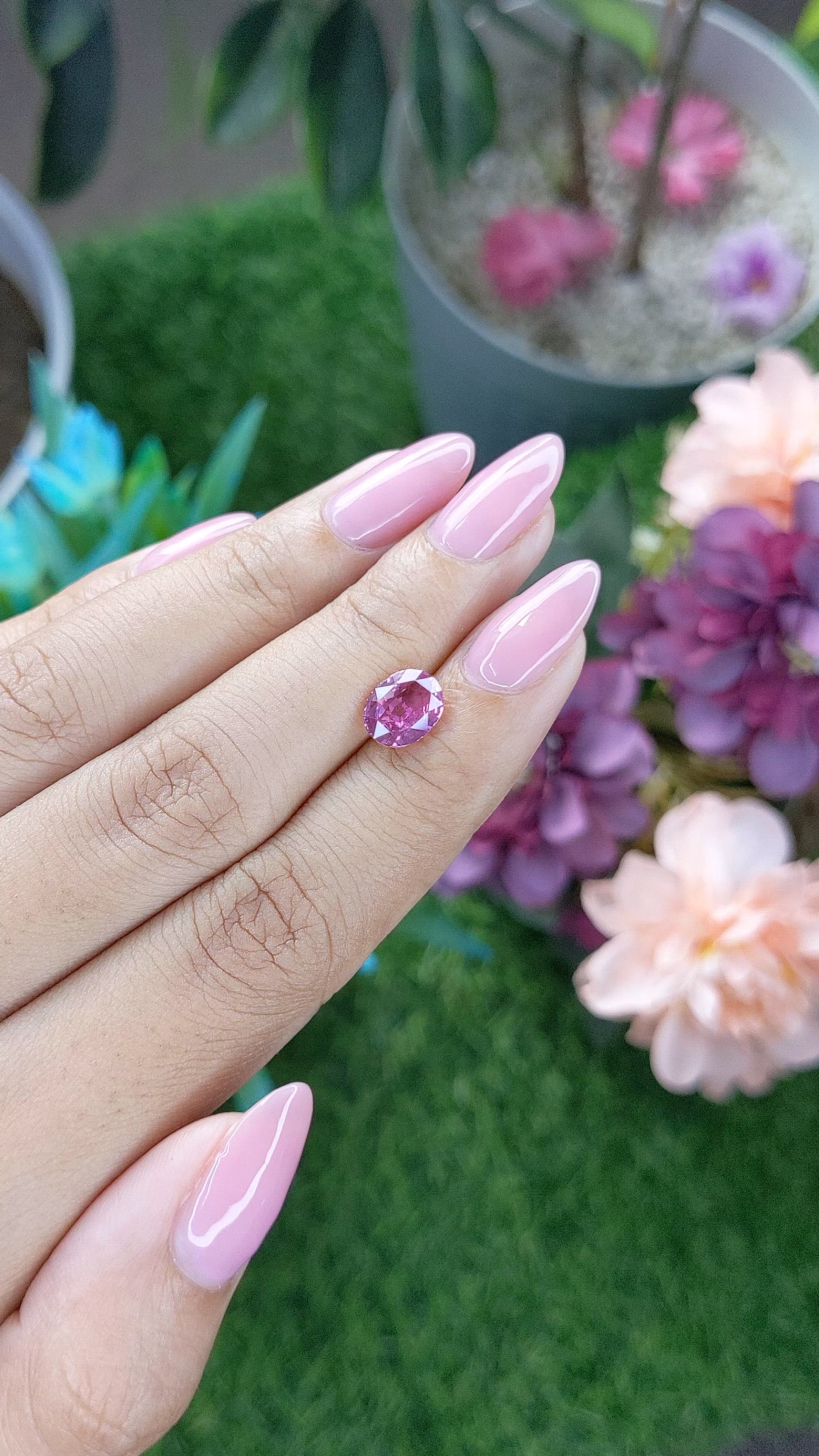 2.02 Ct. Purplish Pink Sapphire from Madagascar Size Video
