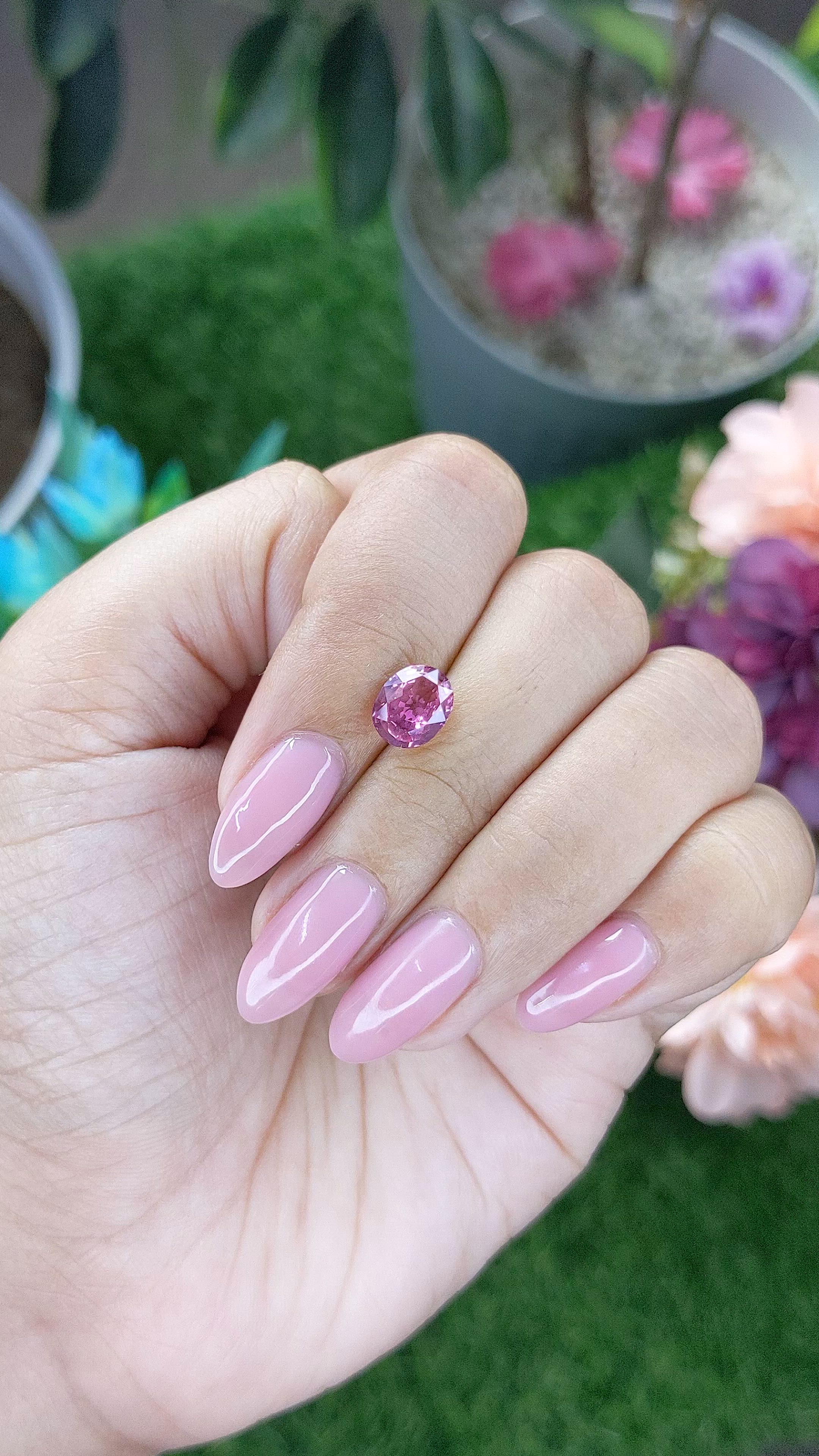 2.02 Ct. Purplish Pink Sapphire from Madagascar Size Video