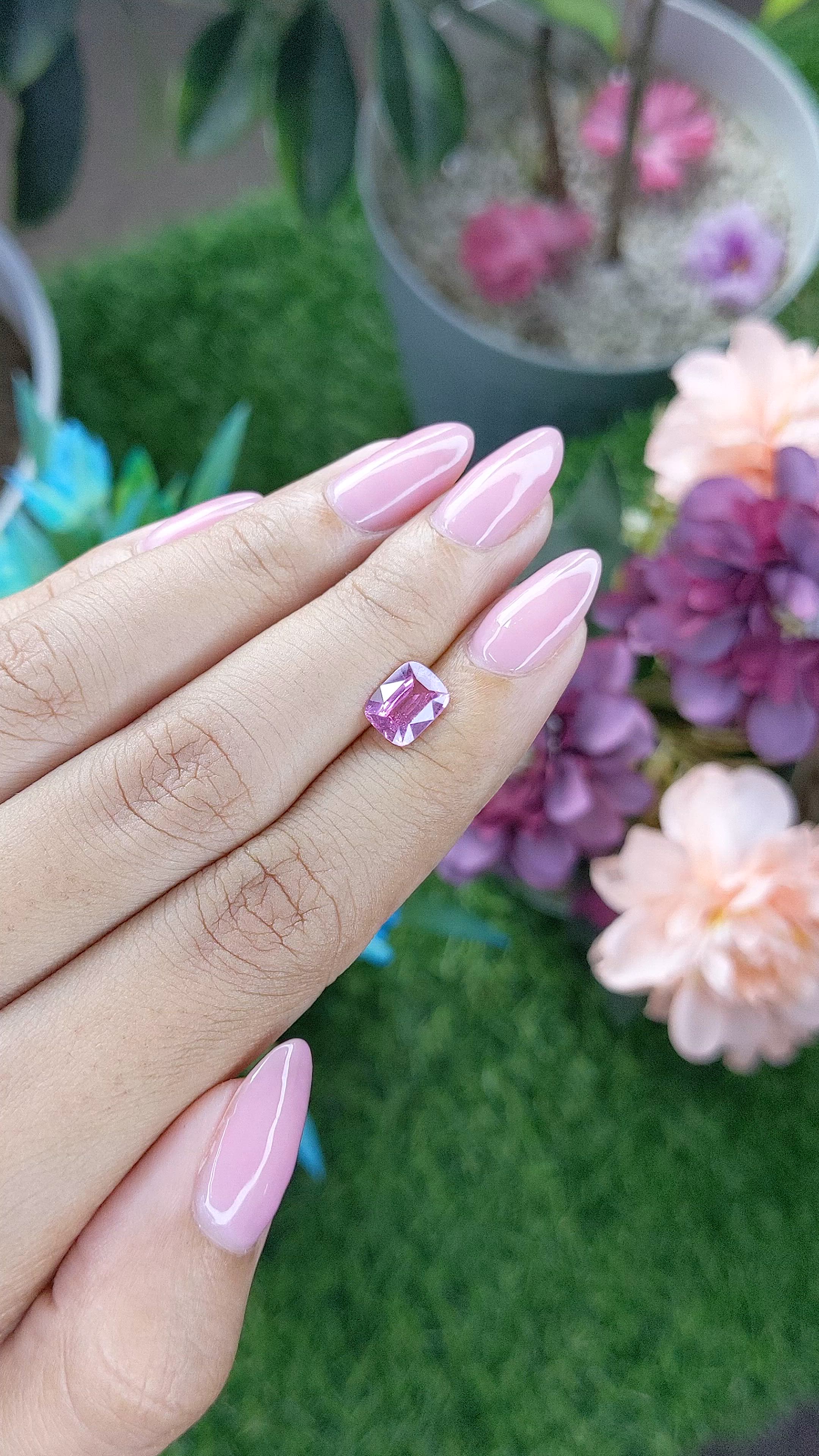1.51 Ct. Purplish Pink Sapphire from Madagascar Size Video
