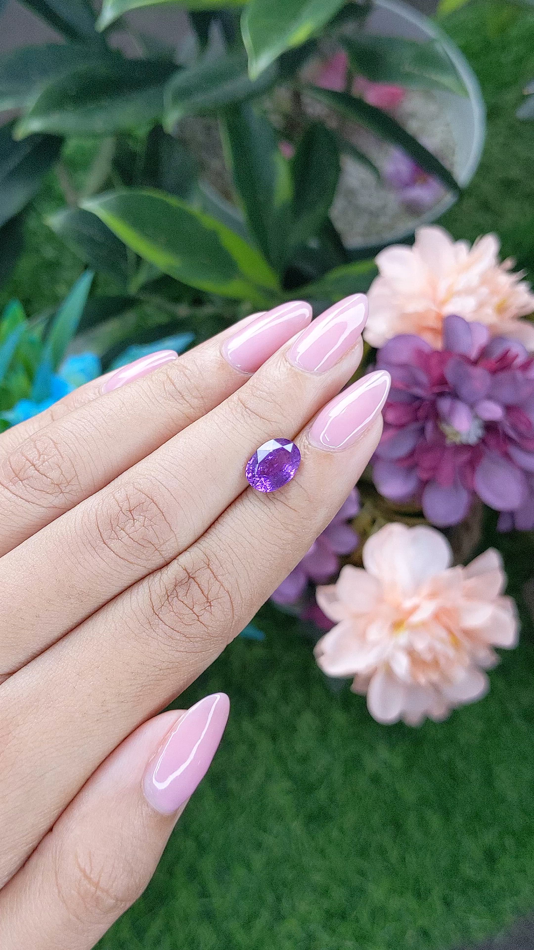2.51 Ct. Purple Sapphire from Madagascar Size Video
