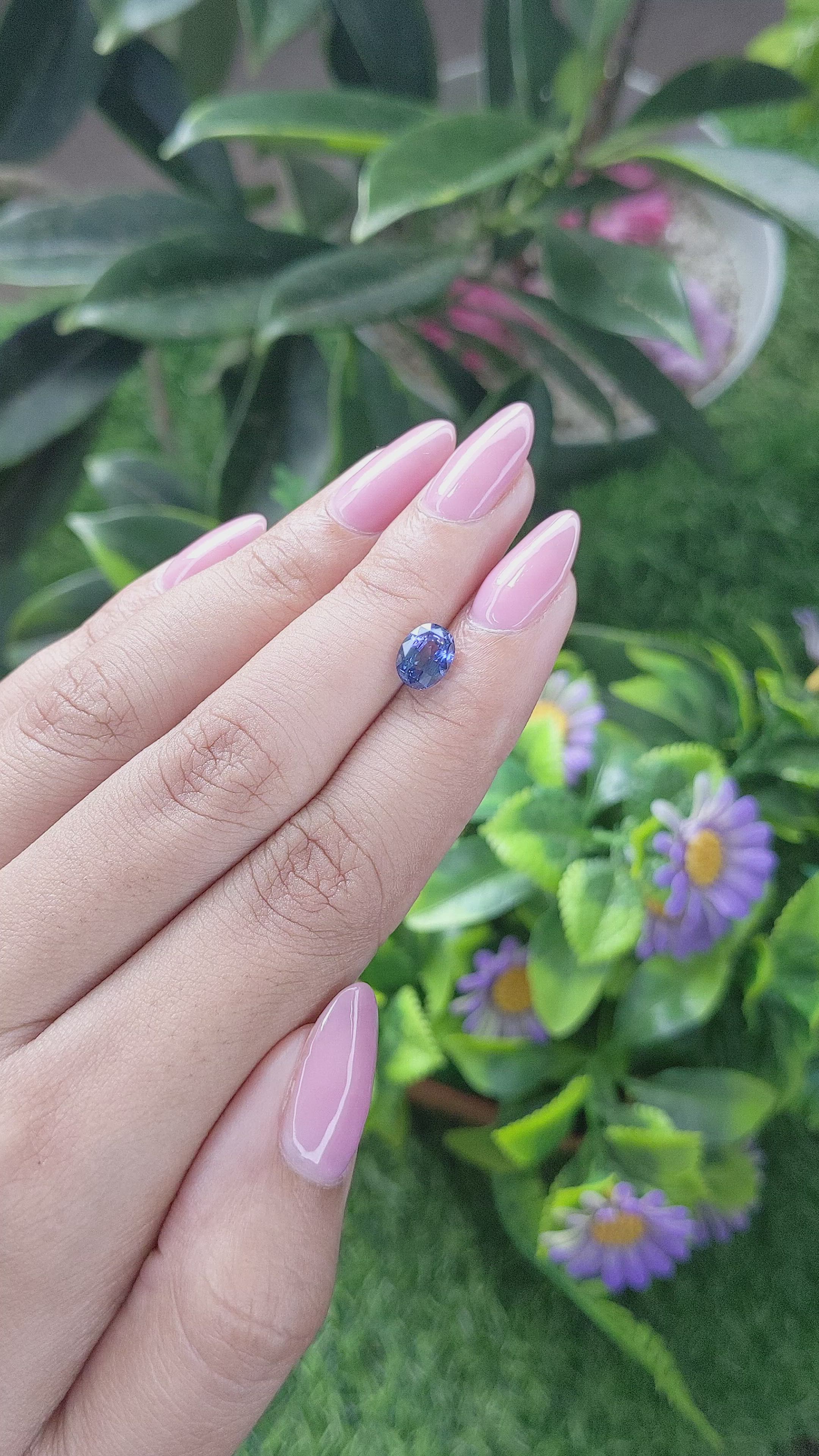 1.55 Ct. Blue Sapphire from Ceylon (Sri Lanka) Size Video