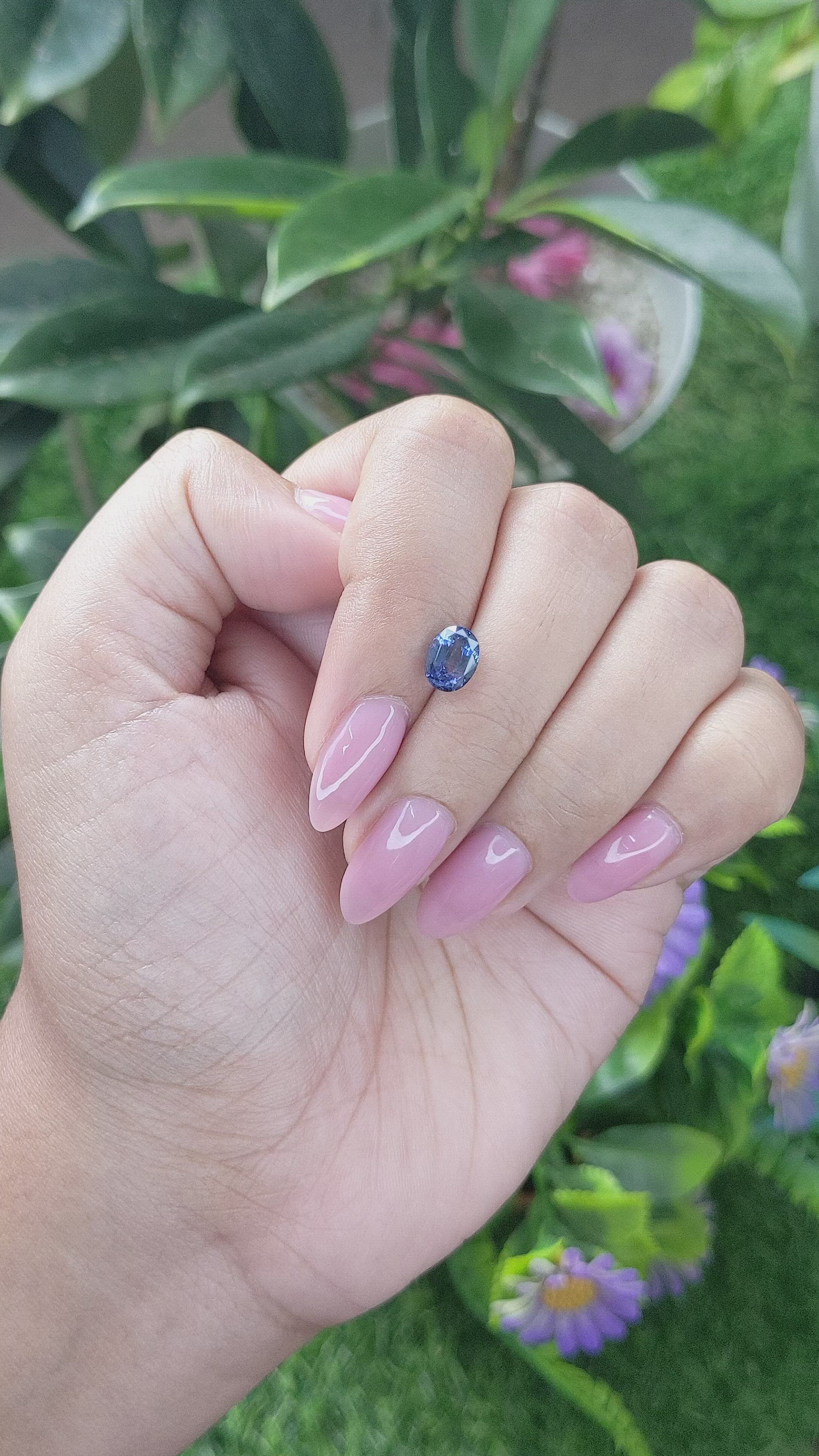 1.55 Ct. Blue Sapphire from Ceylon (Sri Lanka) Size Video