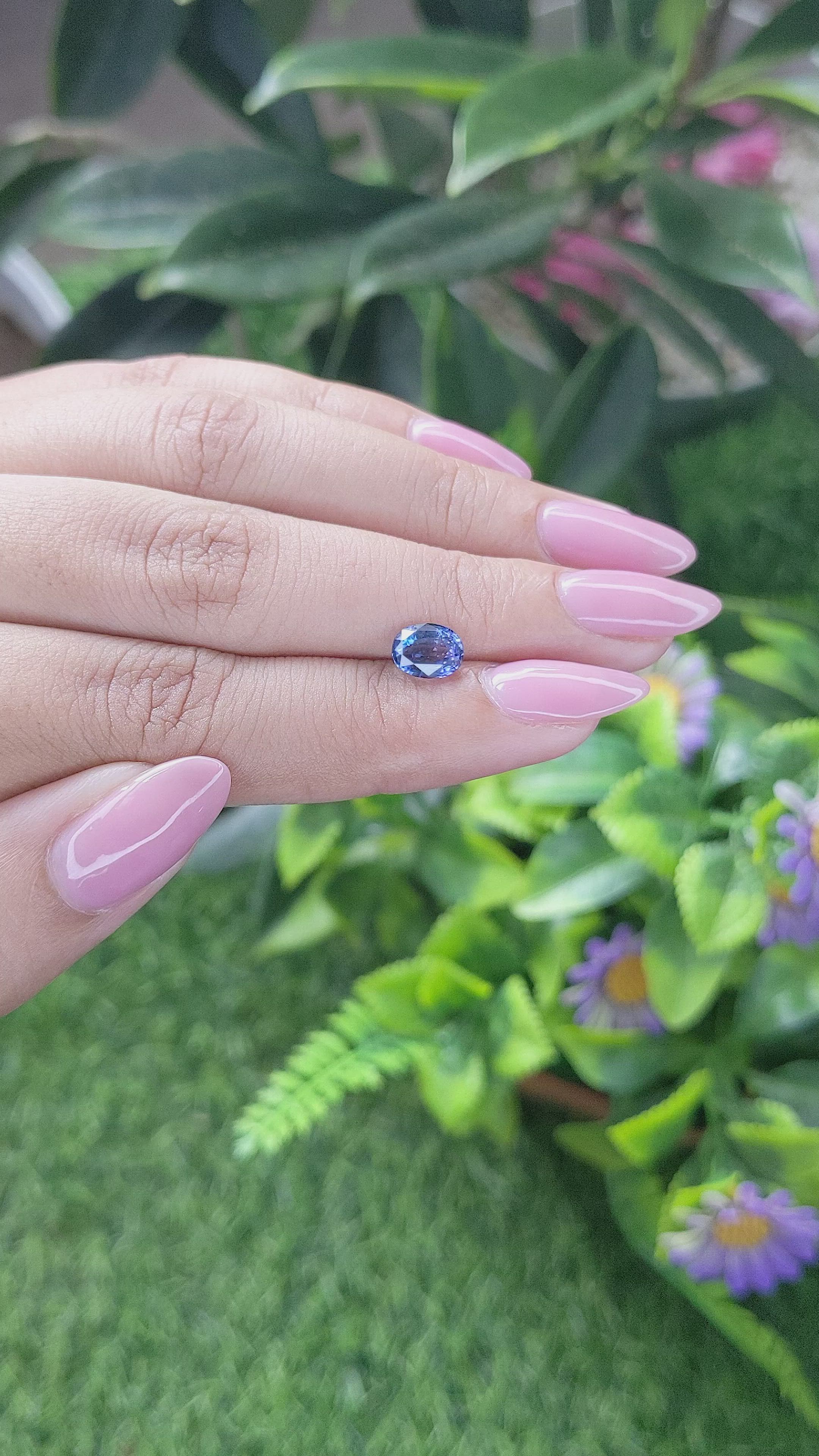 1.55 Ct. Blue Sapphire from Ceylon (Sri Lanka) Size Video