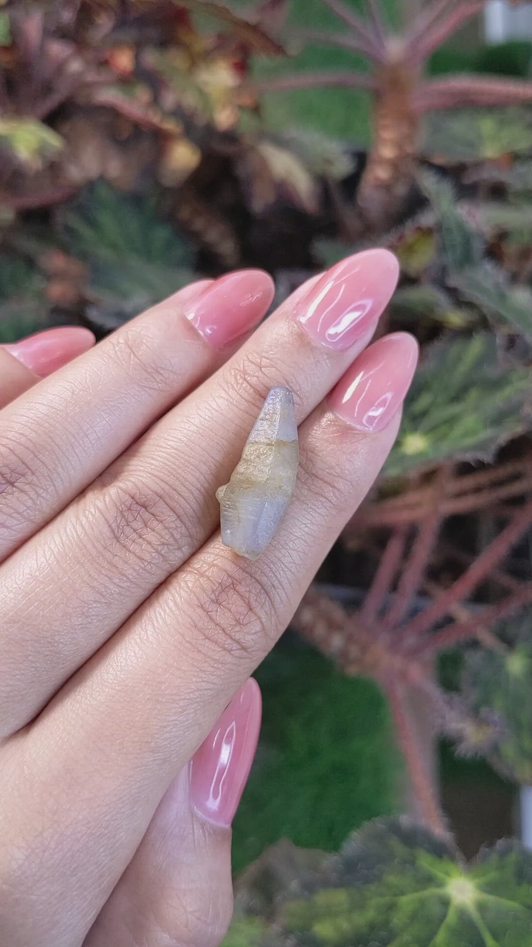 17.30 Ct. Bi Color Sapphire Crystal from Ceylon (Sri Lanka) Size Video