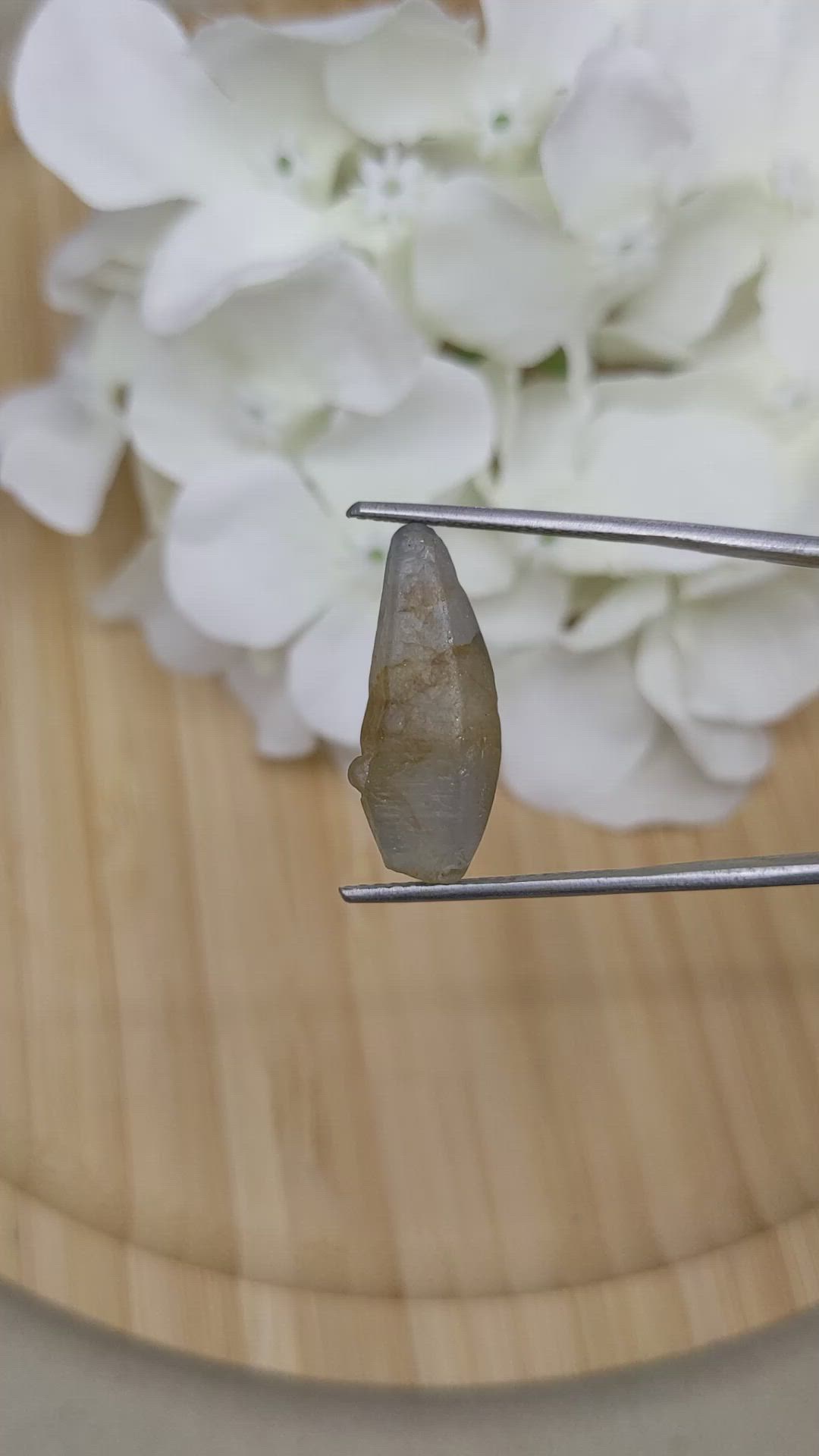 17.30 Ct. Bi Color Sapphire Crystal from Ceylon (Sri Lanka) Size Video