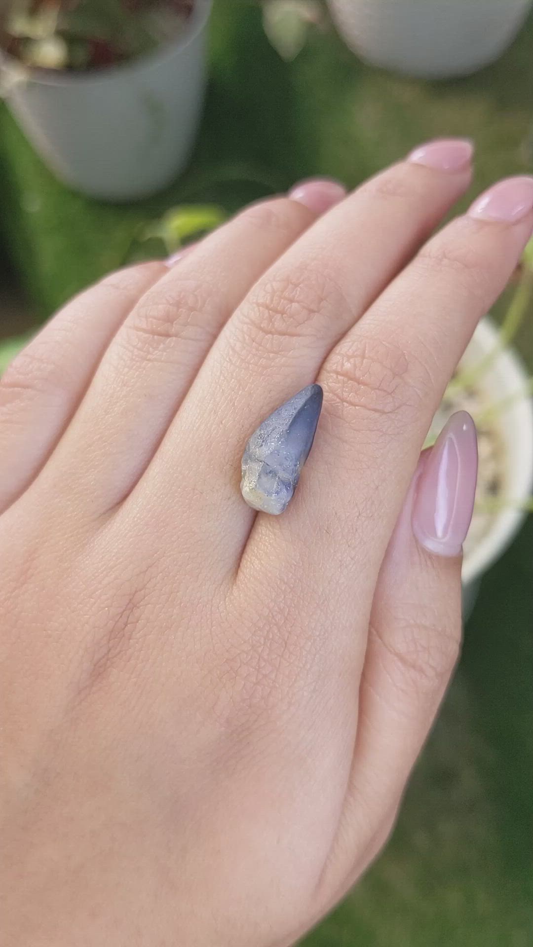 10.46 Ct. Bi Color Sapphire Crystal from Ceylon (Sri Lanka) Size Video