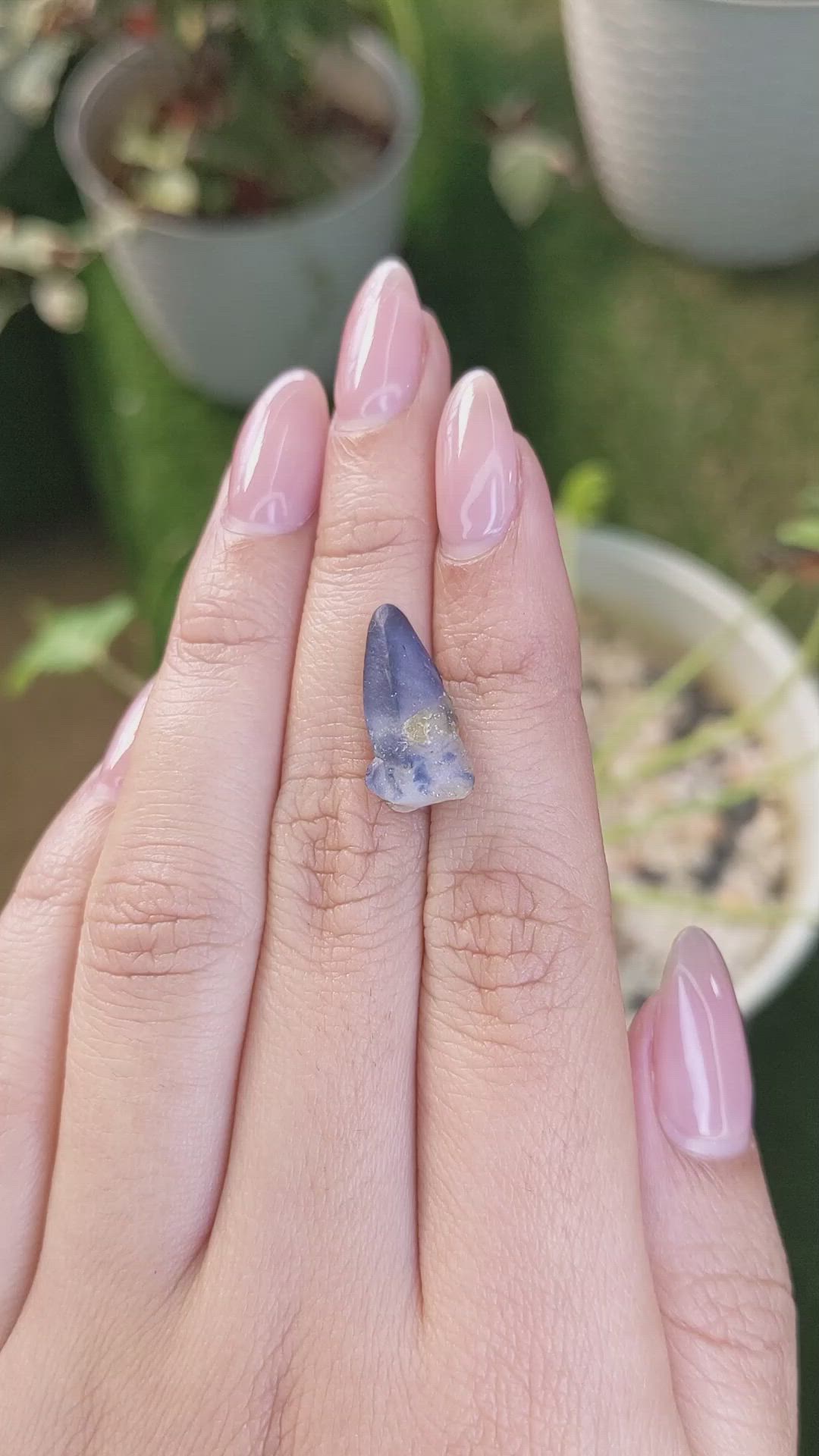 10.46 Ct. Bi Color Sapphire Crystal from Ceylon (Sri Lanka) Size Video