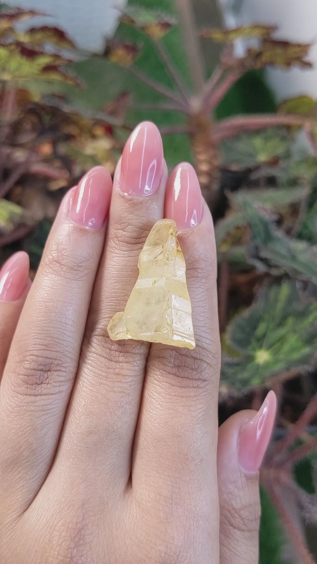 45.41 Ct. Yellow Sapphire Crystal from Ceylon (Sri Lanka) Size Video