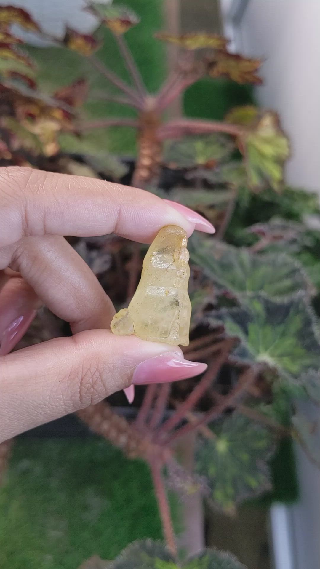 45.41 Ct. Yellow Sapphire Crystal from Ceylon (Sri Lanka) Size Video