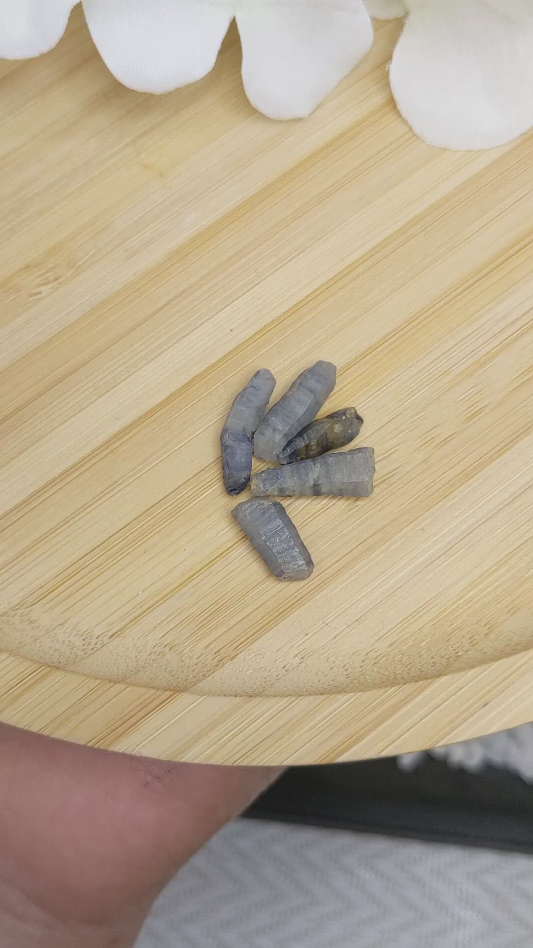 15.41 Ct. Blue Sapphire Crystal from Ceylon (Sri Lanka) Size Video