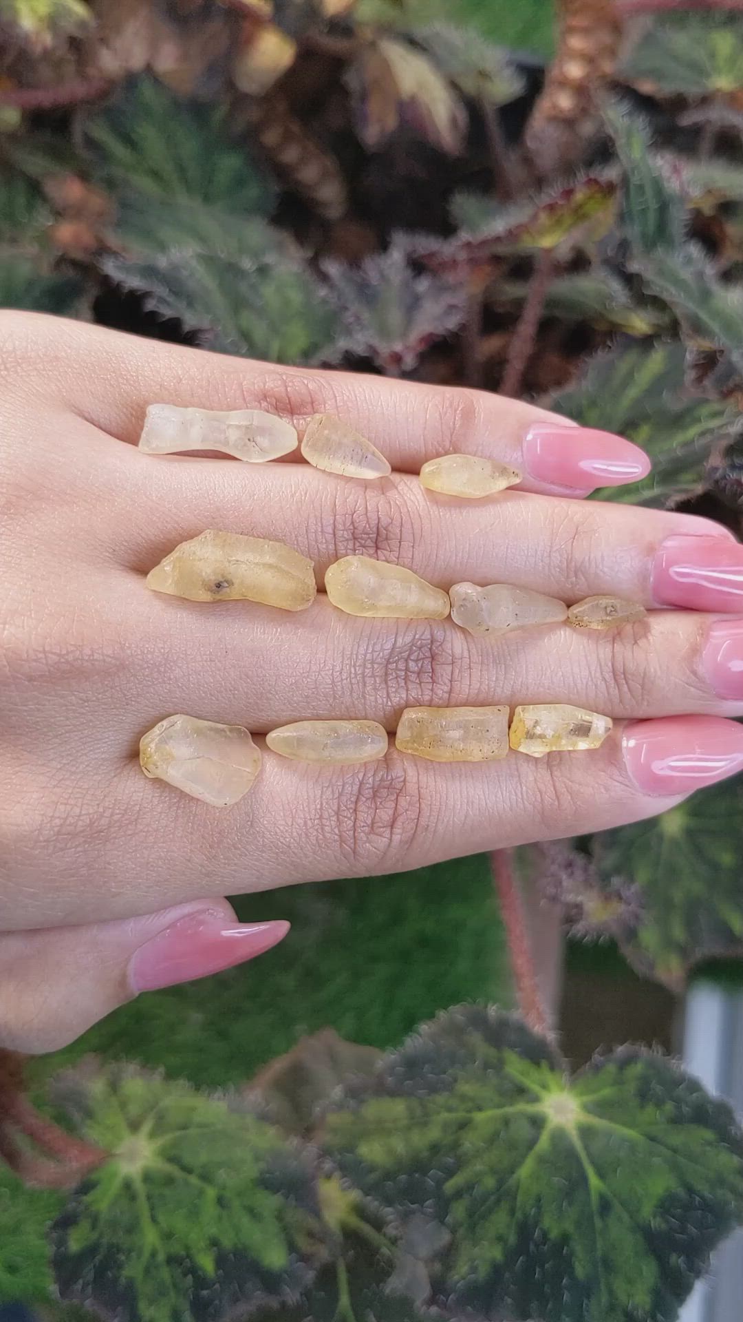 54.49 Ct. Yellow Sapphire Crystal from Ceylon (Sri Lanka) Size Video