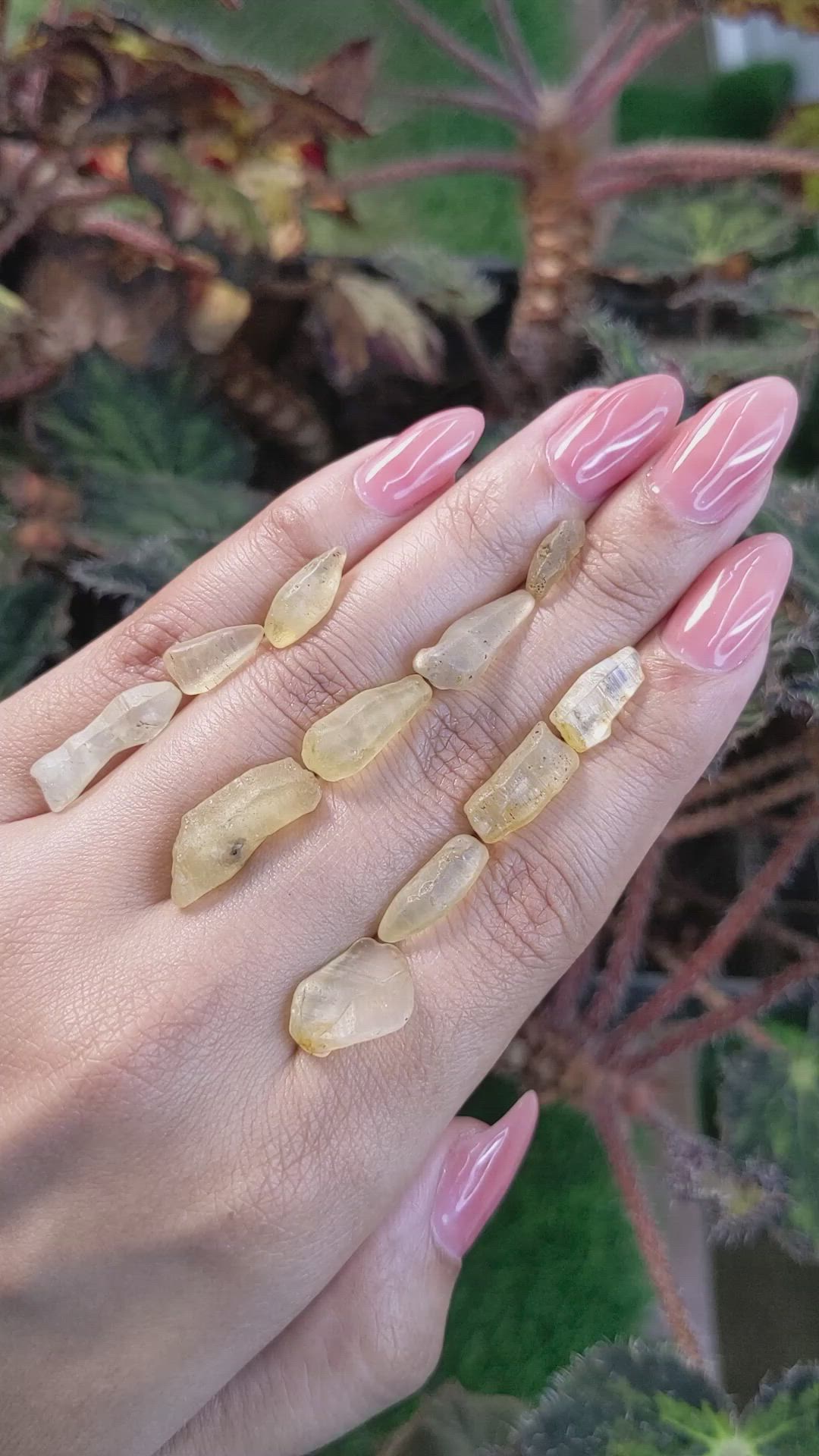 54.49 Ct. Yellow Sapphire Crystal from Ceylon (Sri Lanka) Size Video