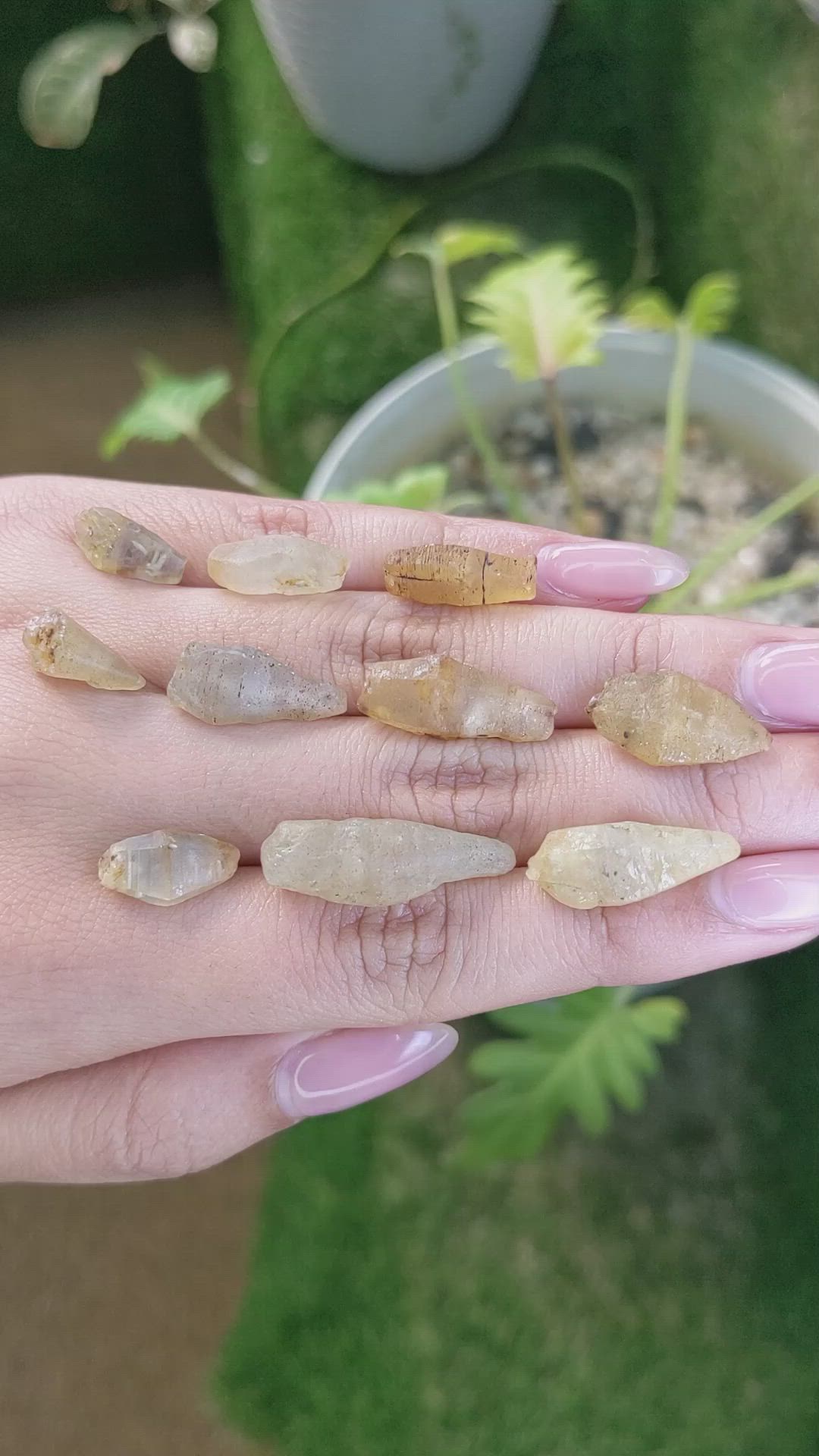 87.76 Ct. Yellow Sapphire Crystal from Ceylon (Sri Lanka) Size Video