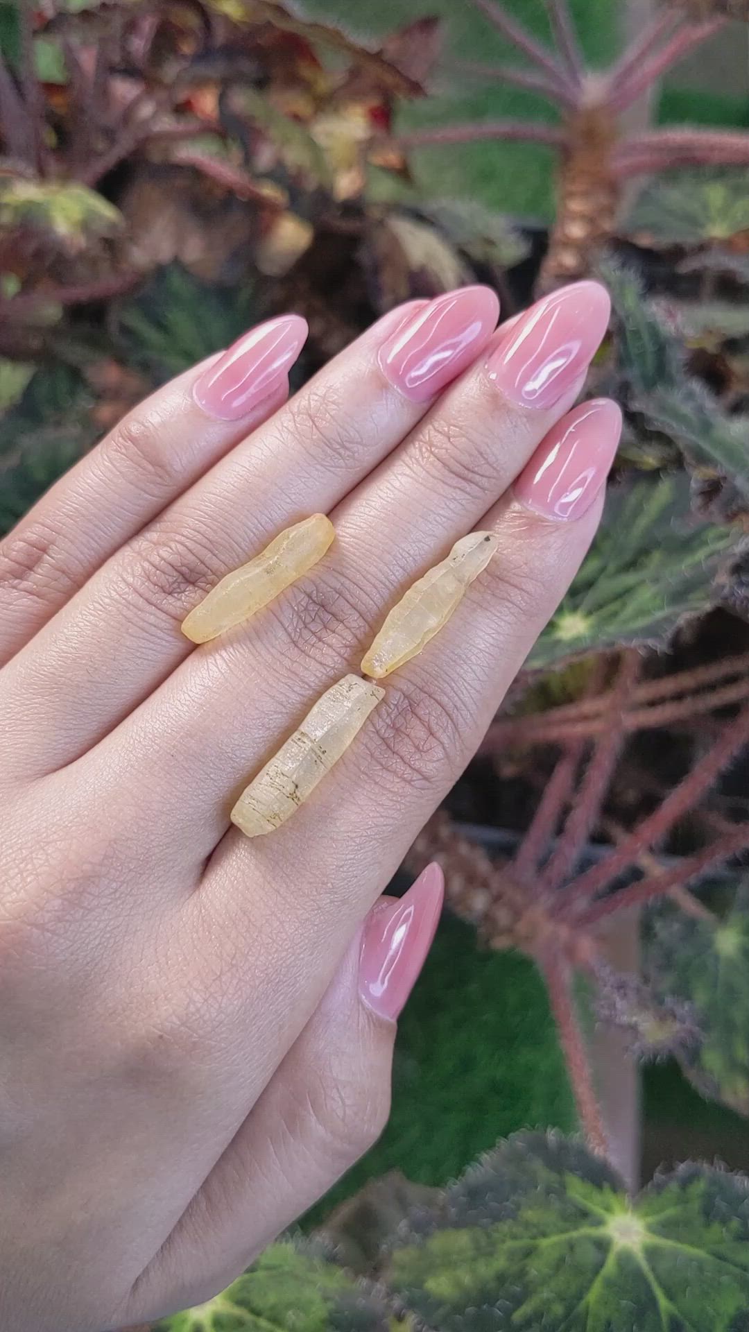 25.33 Ct. Yellow Sapphire Crystal from Ceylon (Sri Lanka) Size Video