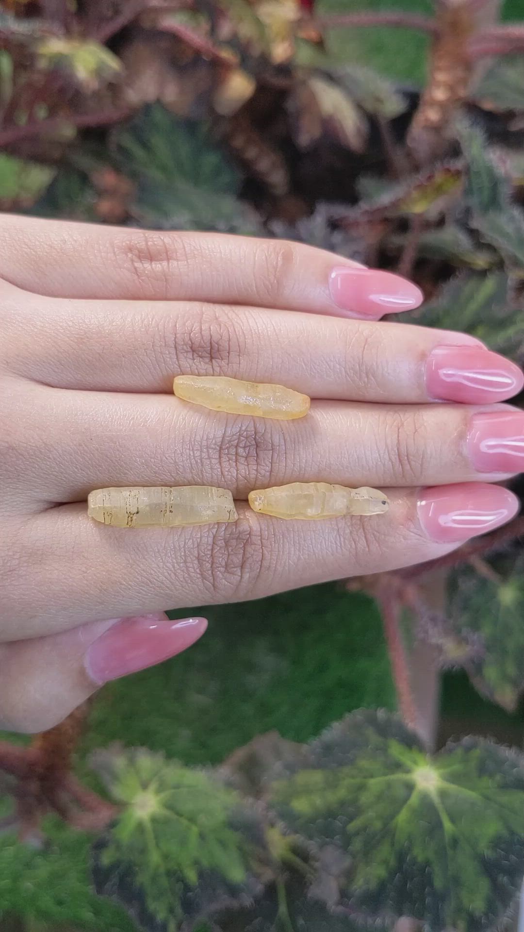 25.33 Ct. Yellow Sapphire Crystal from Ceylon (Sri Lanka) Size Video