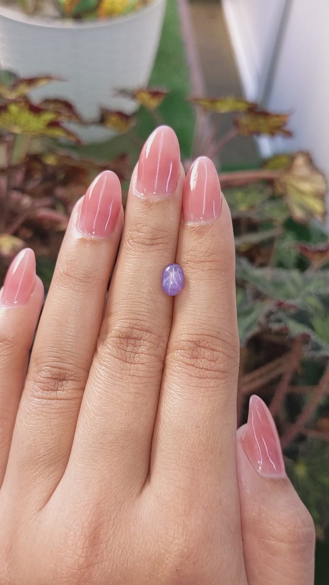 1.73 Ct. Bluish Purple Star Sapphire from Ceylon (Sri Lanka) Size Video