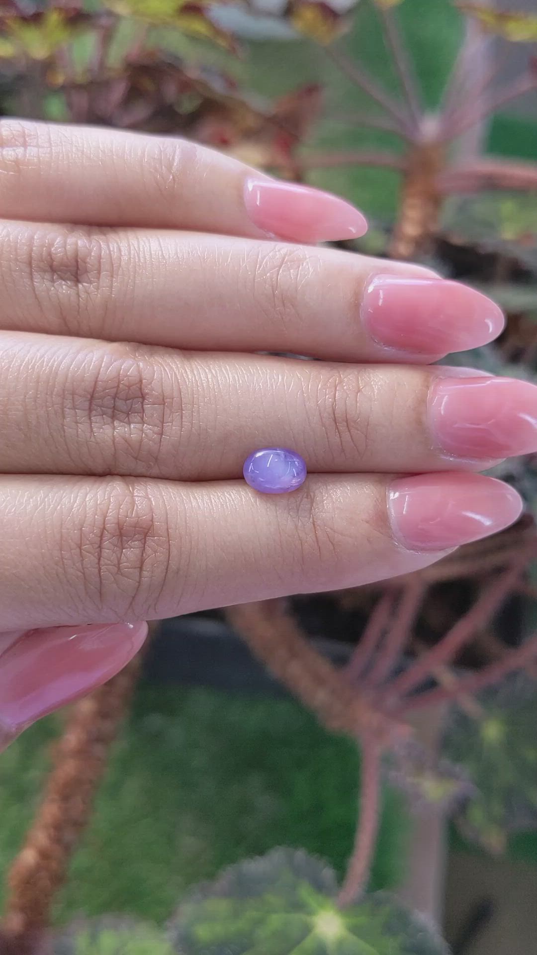 1.73 Ct. Bluish Purple Star Sapphire from Ceylon (Sri Lanka) Size Video