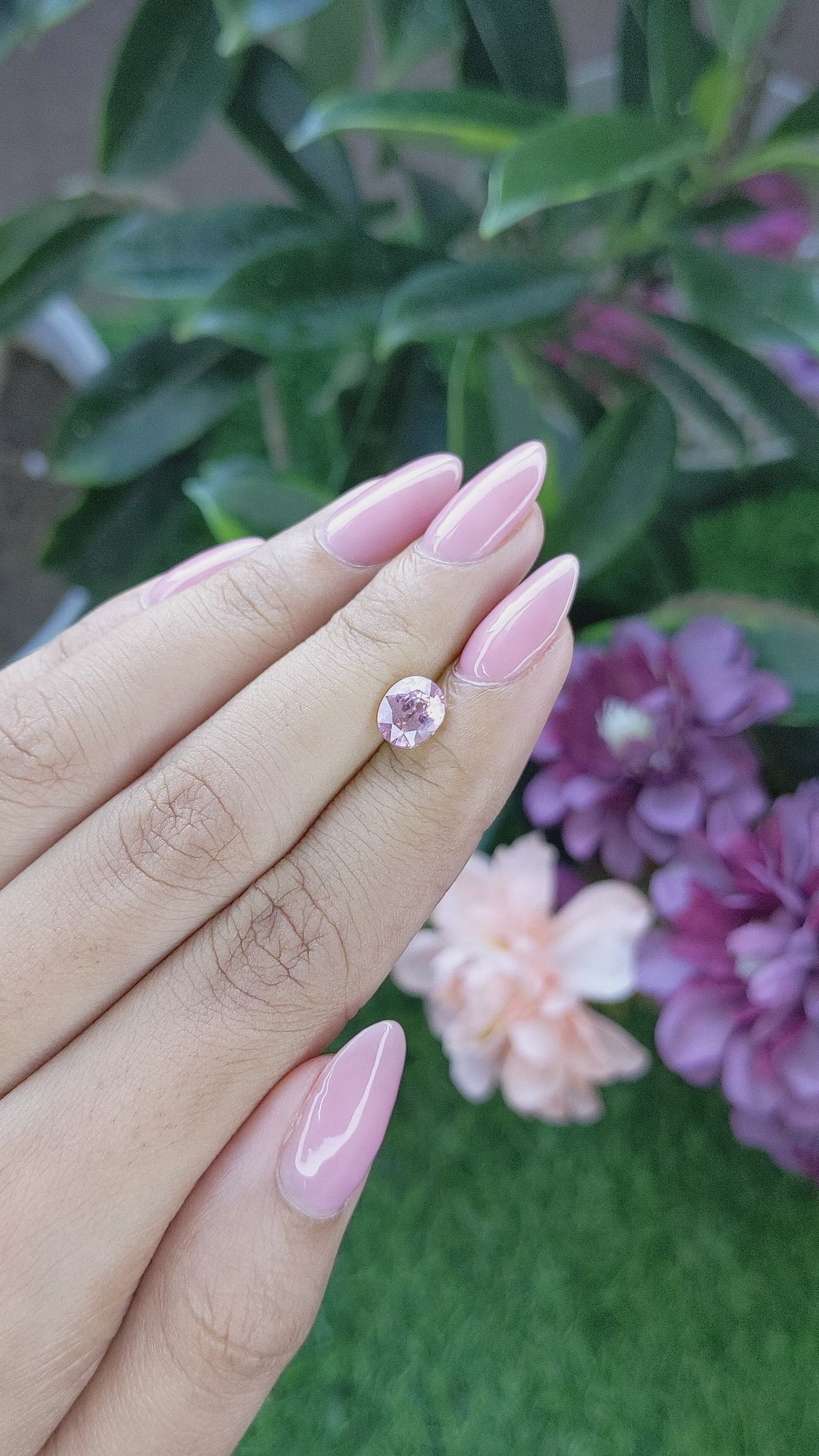 1.58 Ct. Pink Sapphire from Ceylon (Sri Lanka) Size Video