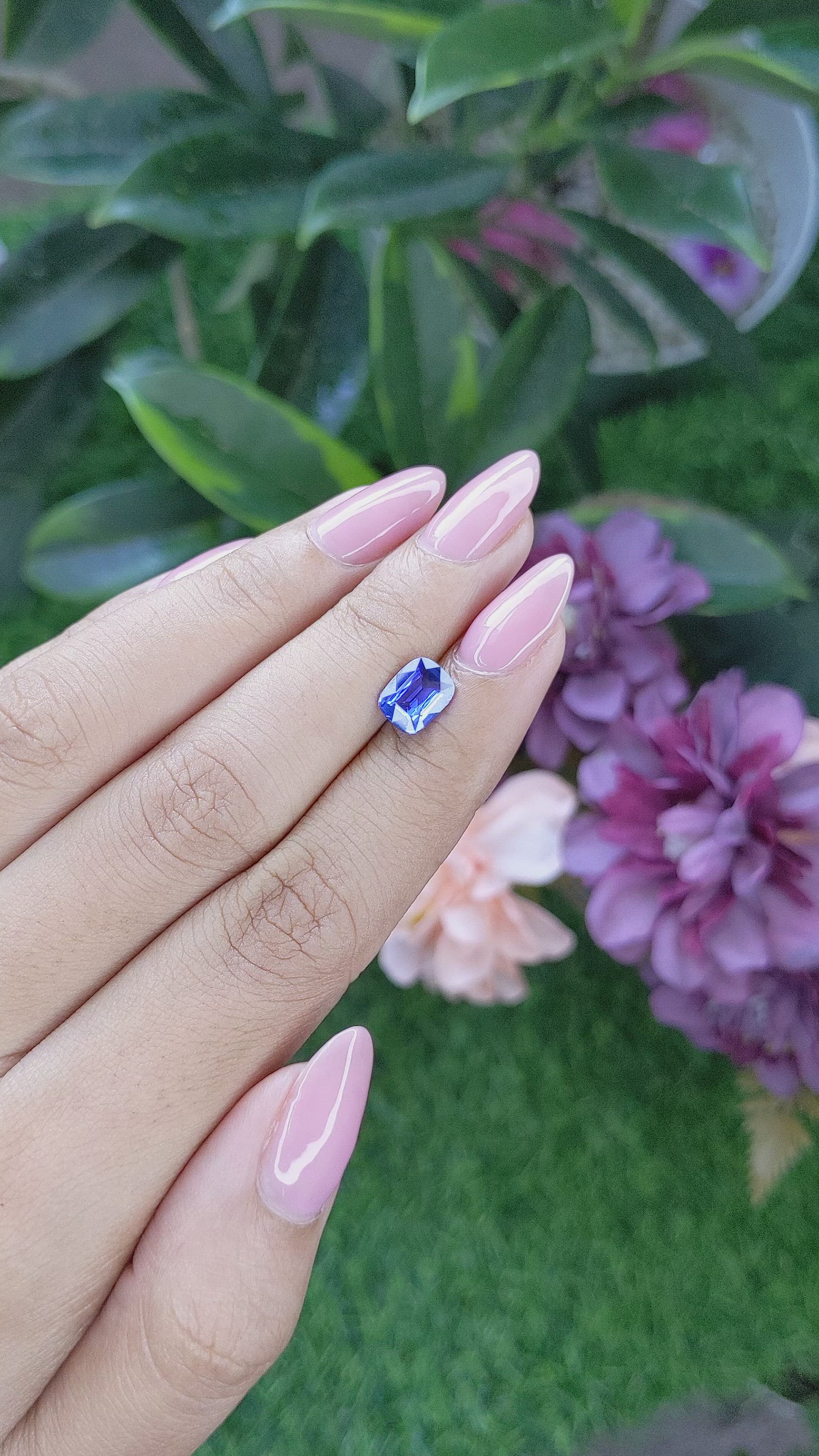 1.53 Ct. Blue Sapphire from Ceylon (Sri Lanka) Size Video