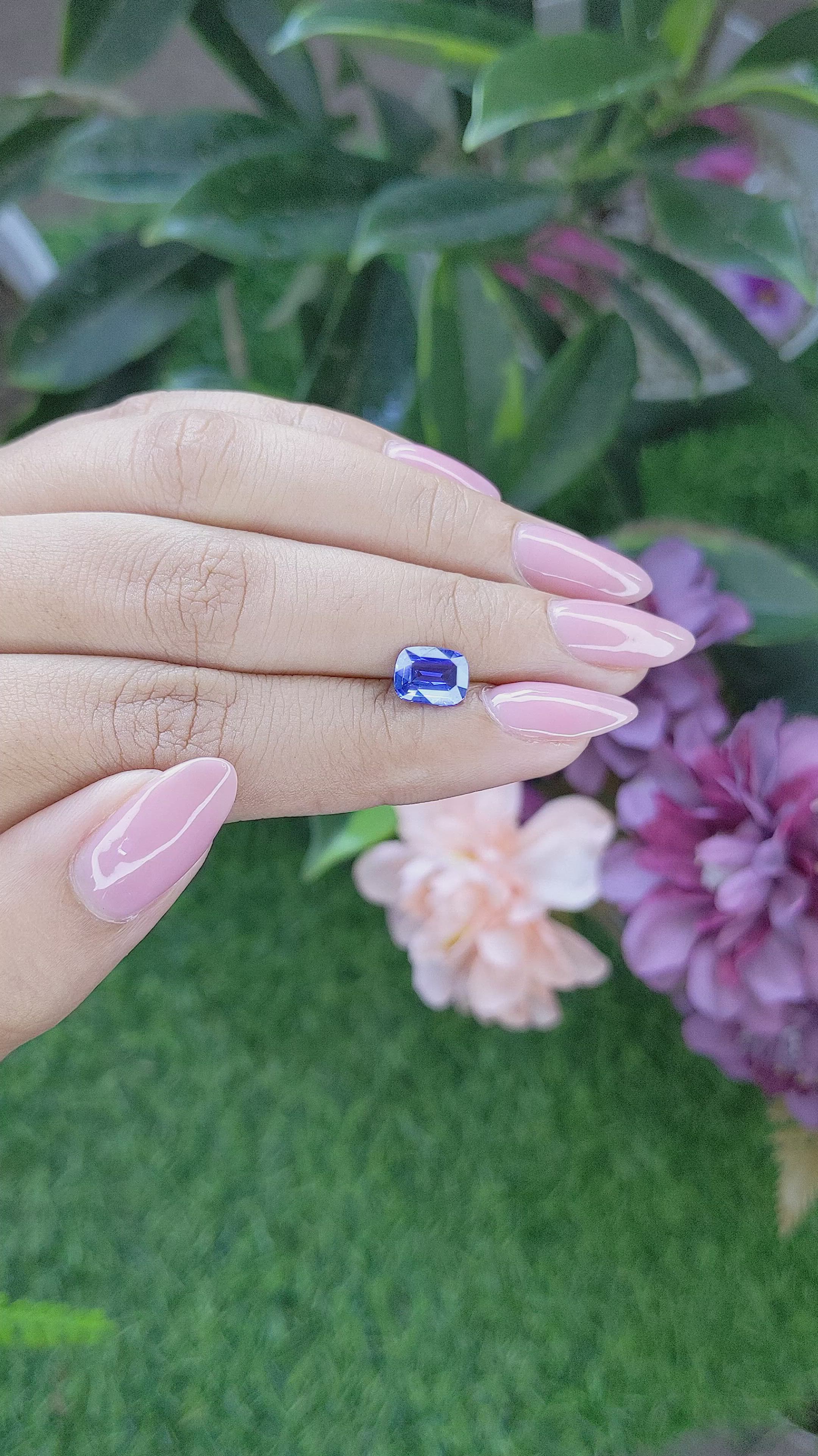 1.53 Ct. Blue Sapphire from Ceylon (Sri Lanka) Size Video