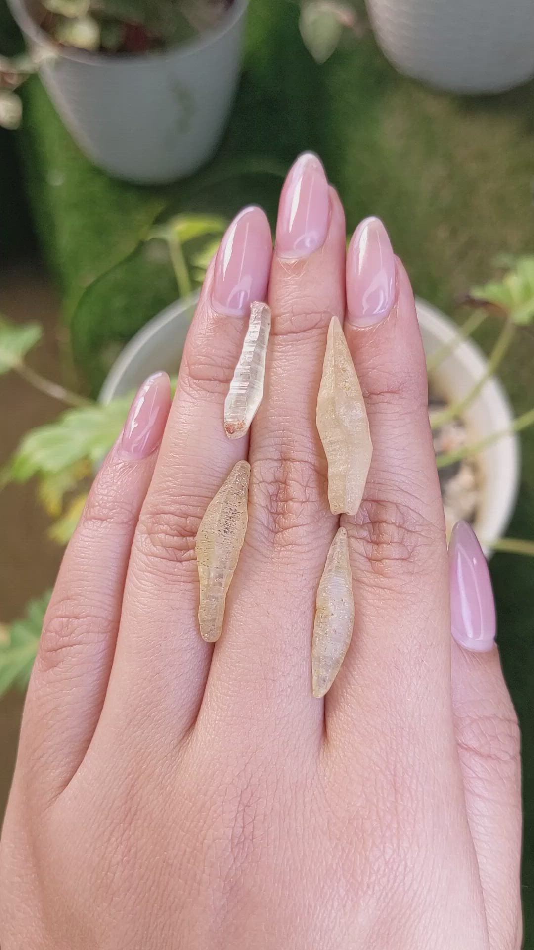 33.97 Ct. Yellow Sapphire Crystal from Ceylon (Sri Lanka) Size Video